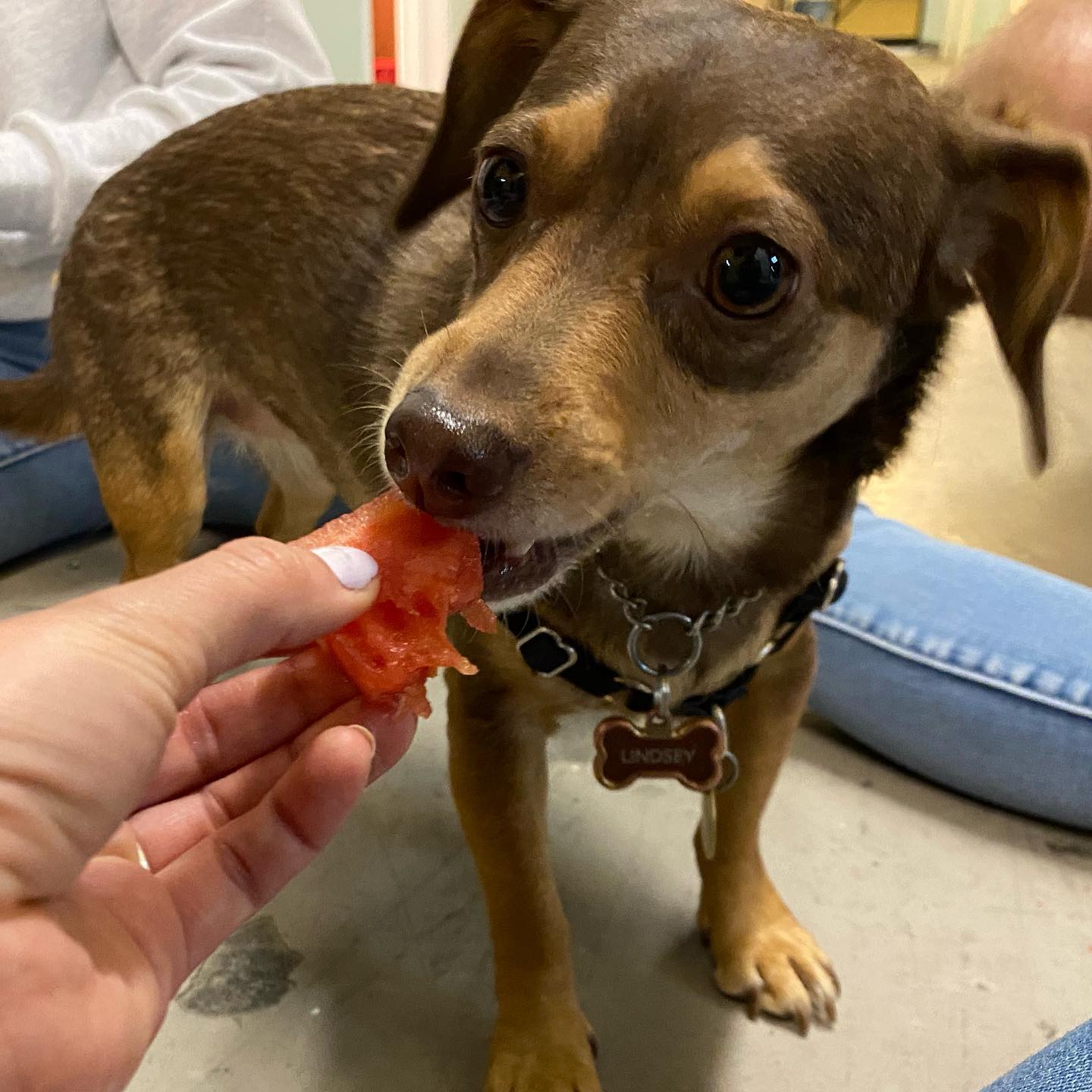 Big shout out to Lindsey for the moral support on set @piestudios. Thats a wrap on another shoot week! Bring on the weekend…. And the watermelons.