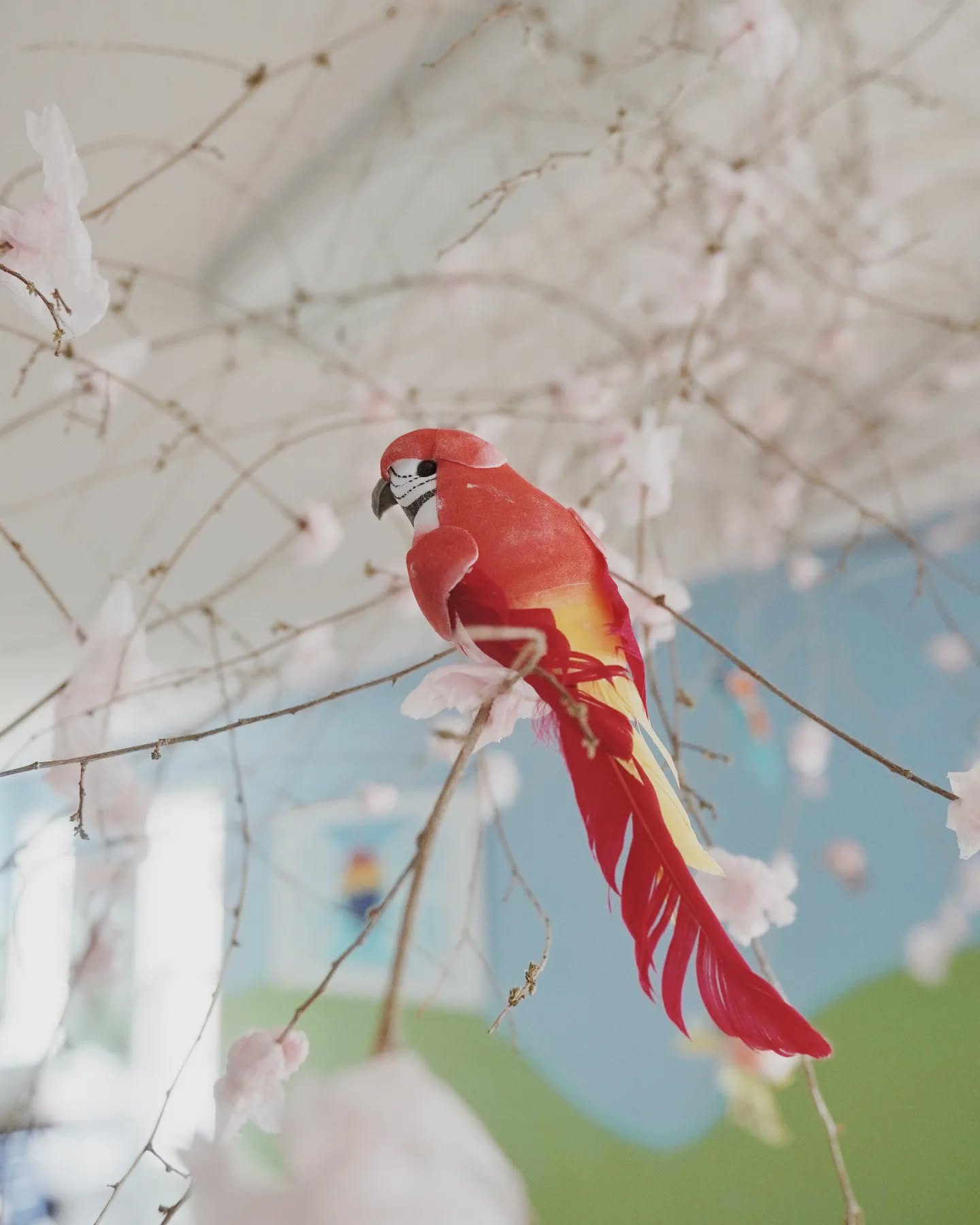 Its been a busy week here at PJCC but its always great to see the flowers blooming again 🌸😁