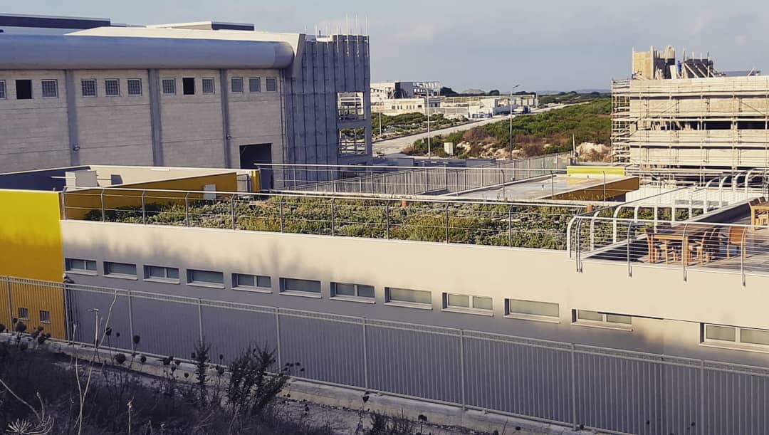 green roof 100 days after install
@dhlexpress
#greenroof, #בנייןצומח, #bldveg, #גגירוק, #oikosteges, #גגצומח,, #israel, #dhlexpress, #dhlisrael, #greenbuilding, #בנייהירוקה