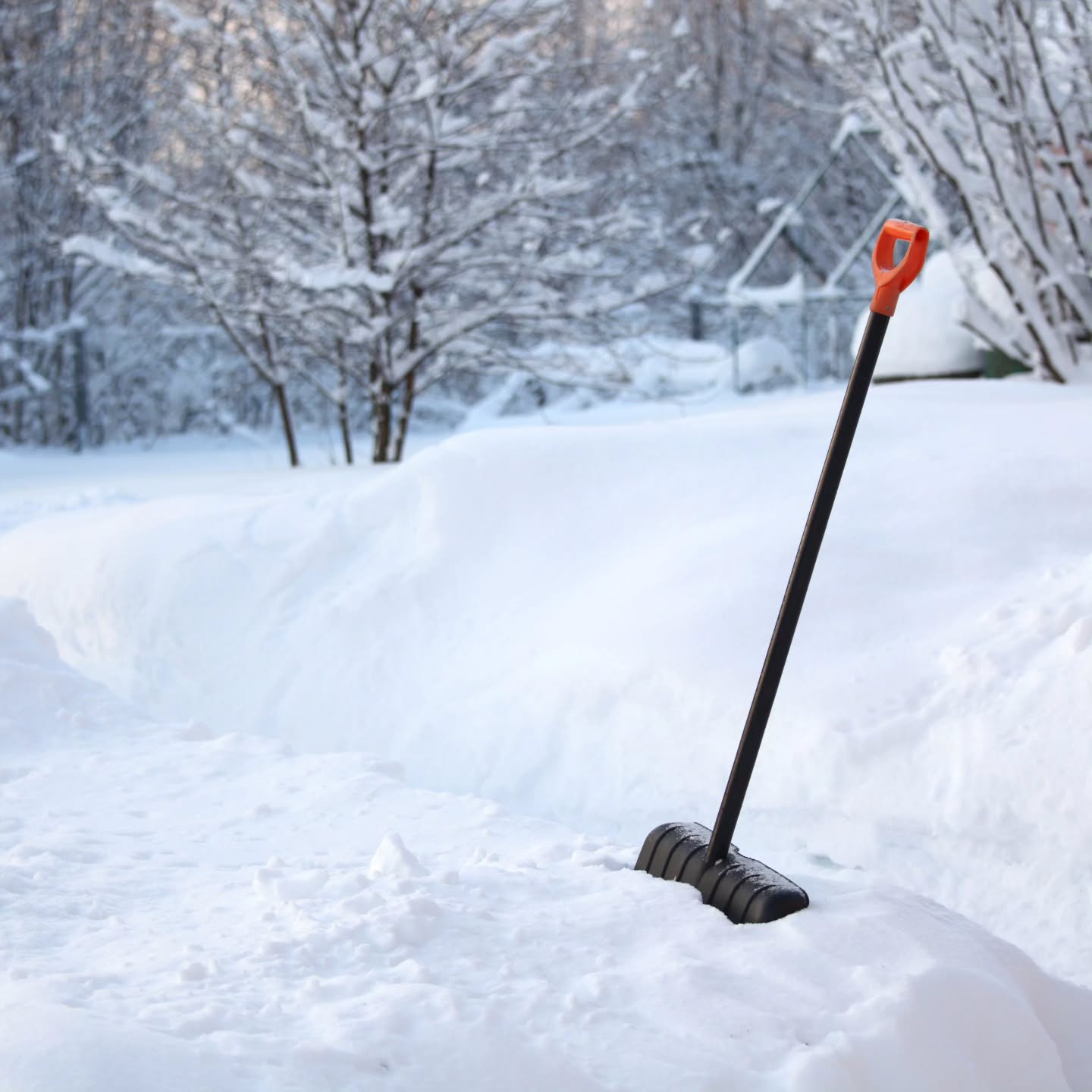 Pro-Tip: Push, don't lift the snow! 💡 If the damage is already done and you're feeling that post-storm 'twinge,' we’re cleared off and open to help you recover. ❄️
Pickup some bath soak from @mendedwithnatureok or some magnesium spray in the office to help speed up recovery.