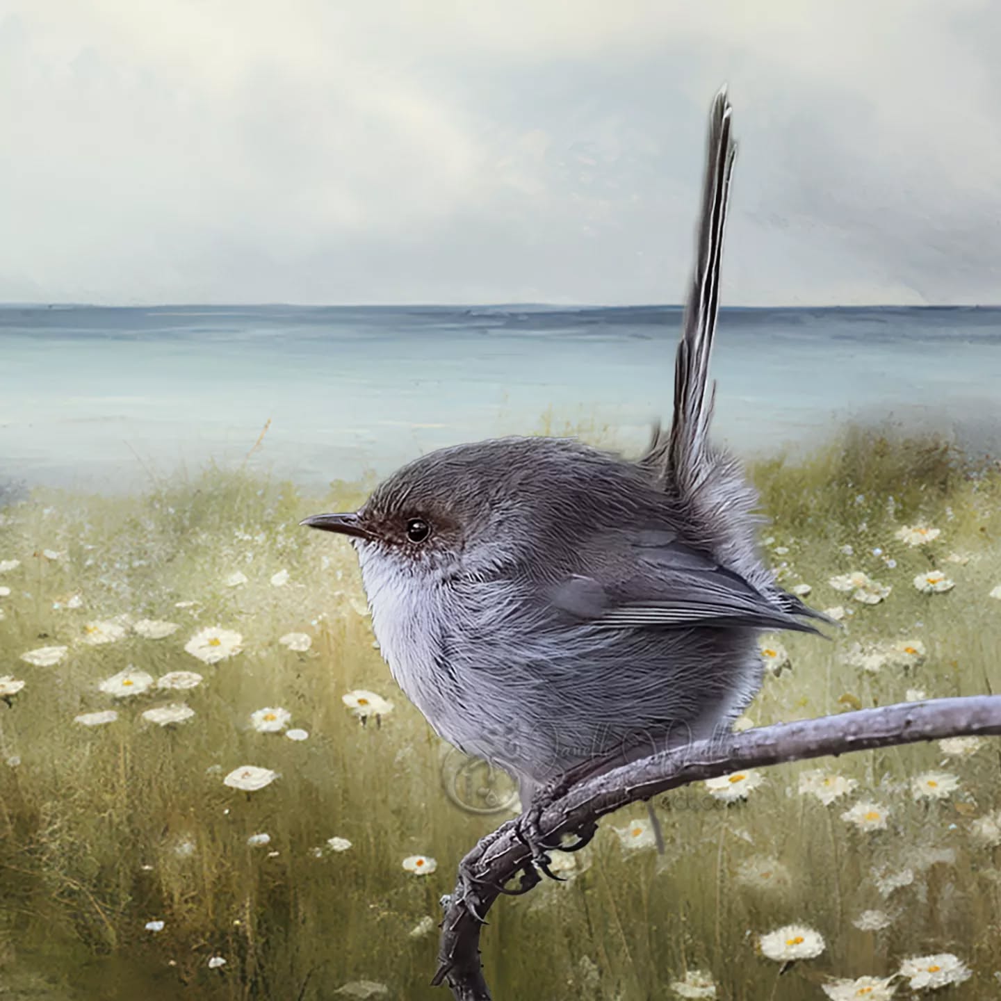 If you're still looking for that one person to change your life, take a look in the mirror.
.
.
.
.
.
.
.
.
.
.
.
.
.
.
#fairywrenproject #wrensday #pixelpurrrfectphotography #exquisitepics20_australia #rebel_artandedits #mcl_arts #illustrious_art #artistry_flair #super_photoeditz #edit_lovers_united #wildlife_artistry #birdsofaustralia #Creative_AnimalArt #bpa_arts #photo_creation_silver #rebels_nature #rebels_united #explore_wildlife #wonderland_arts #art_andfact #galleria_of_grace #illustrious_magic #dreamland_arts_of_nature #rawedit_
#australianbirds #wildlife_artists #nature_perfection #everything_imaginable #pictas_art #fiftyshades_of_nature