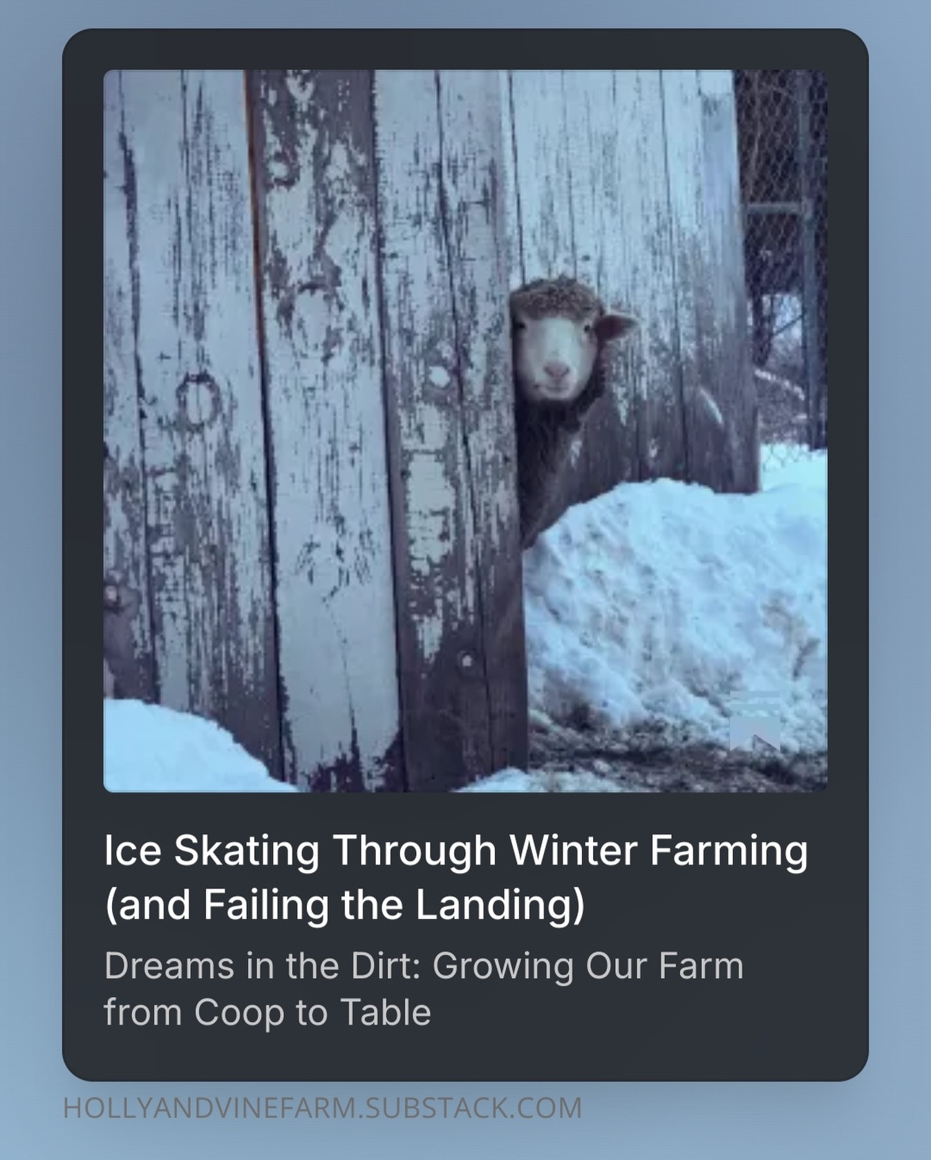 ❄️ Snow, frozen eggs, and barn Olympics! Winter slows us down, but fresh air, cozy shelters, and happy animals keep us going. Lambs, chickens, and a few stubborn peacocks are thriving—despite my “landing skills.”
Substack 🔗 in Bio
#farmlife #winteronthefarm #lambwatch