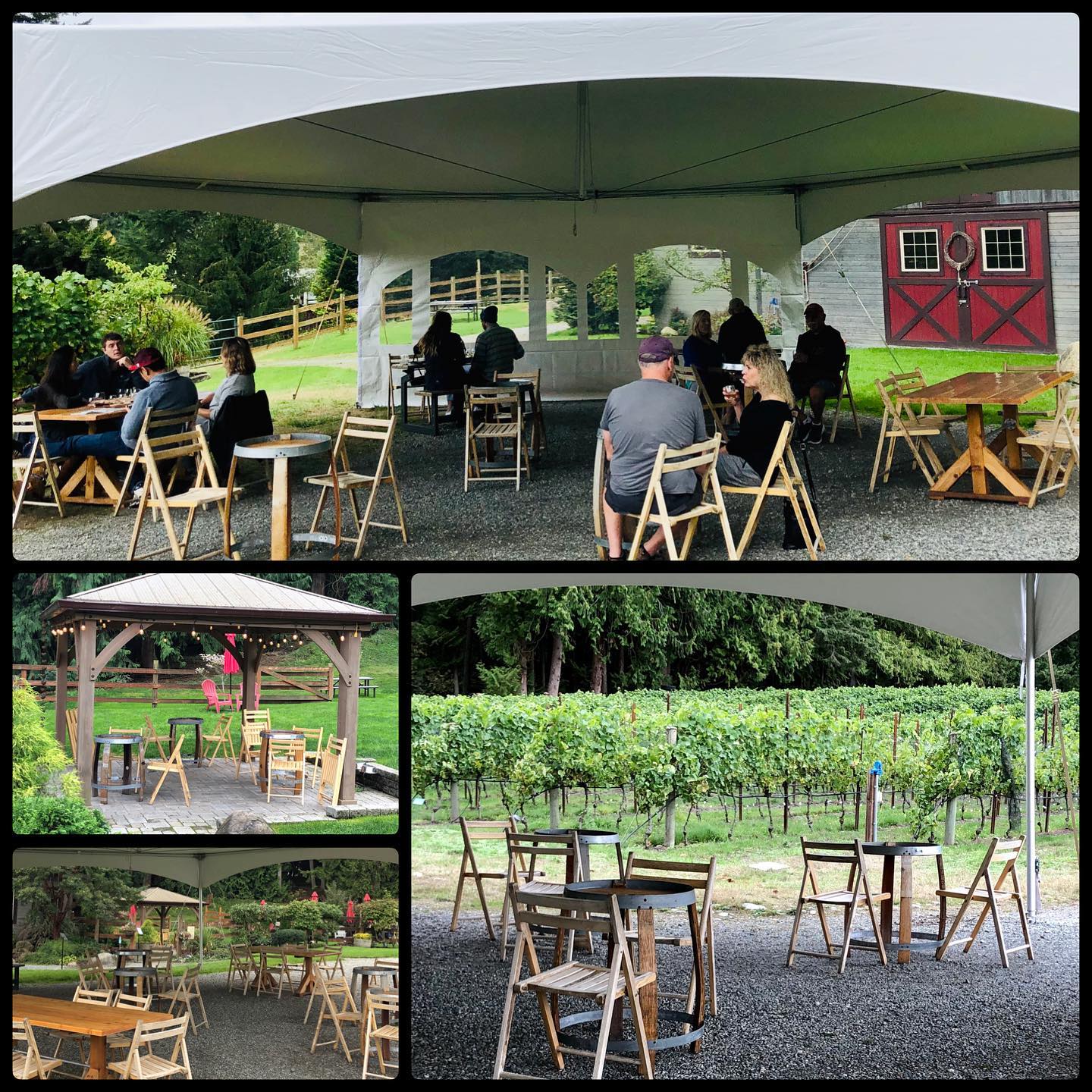 We’ve got you “covered”! Our new outdoor tent just expanded our outdoor seating and will allow for our guests to taste outside rain or shine. ☔️☀️🍷 #spoileddogwinery #winetasting #vineyard #driftwoodhardcider #cidertasting #cider #tastingroom #visit #whidbeyisland #tent #covidstyle #phase3 #makingitwork #familywinery