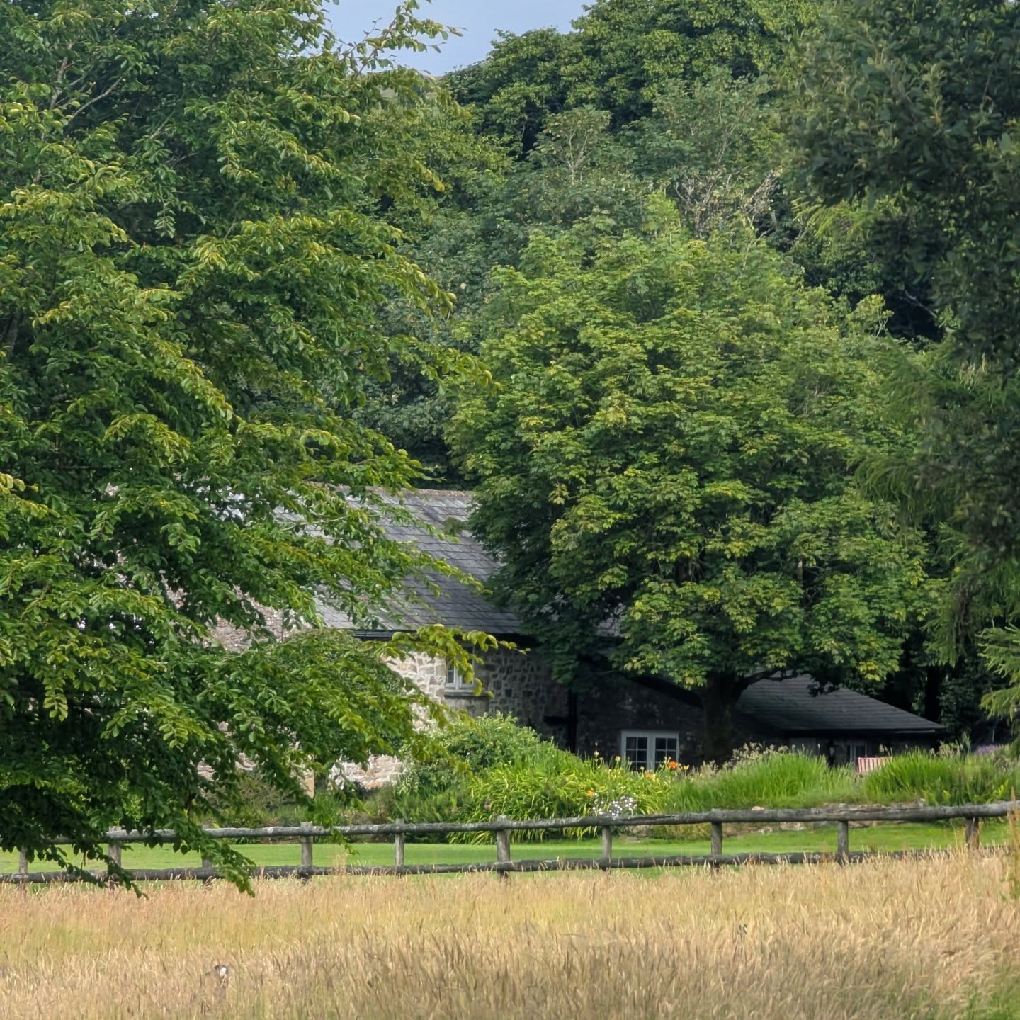 If you need me, I'm dreaming of summer 🌞
.
.
.
#lowerwillsworthy #dartmoorholidays #cottageholidays #dartmoornationalpark #escapetothecottage