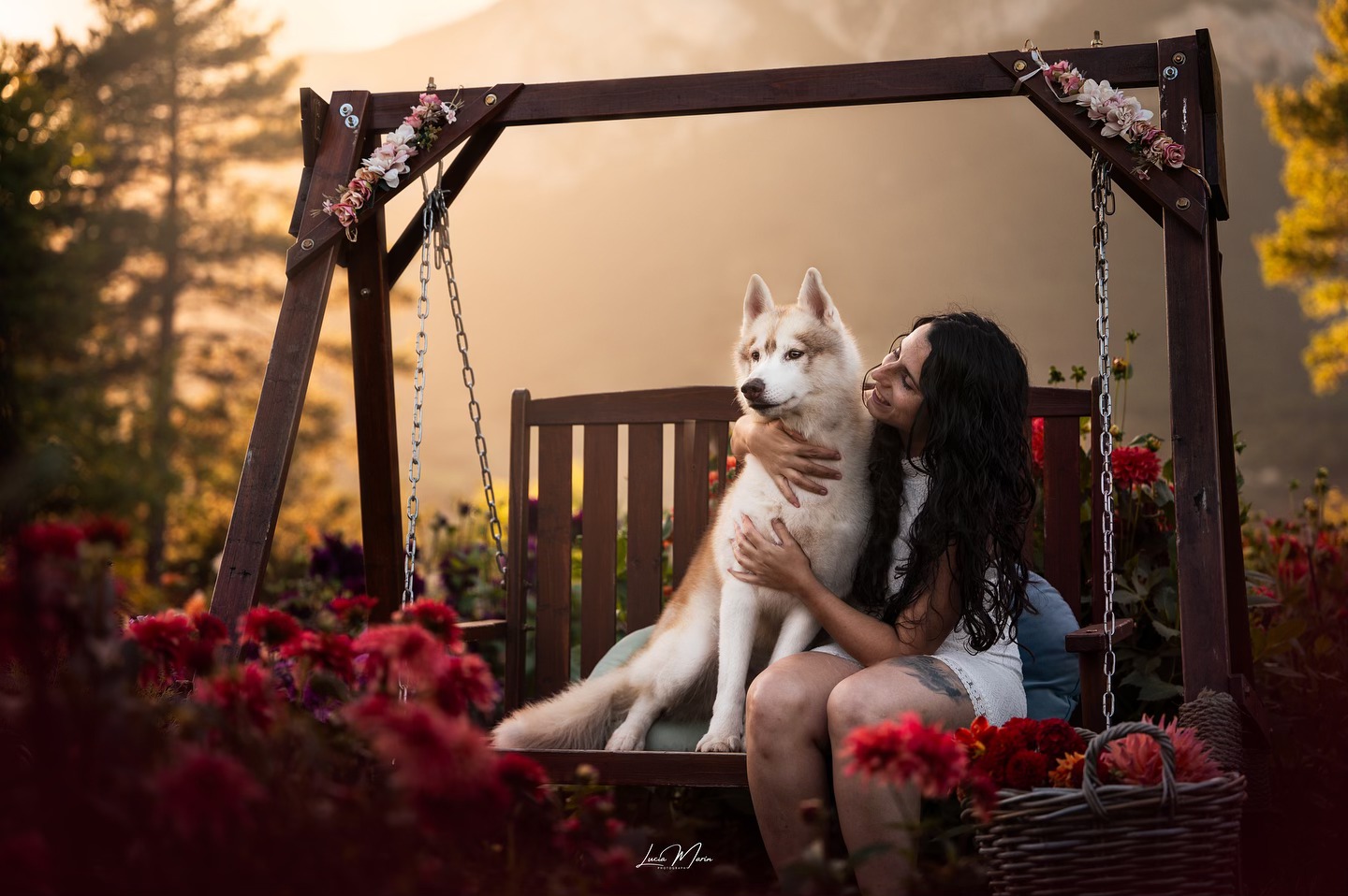 Golden Wolf🐺🌅
Cómo este finde voy a estar bastante desconectada en la Expo de Tarragona os subo hoy un post que llevaba tiempo queriendo subir. Y es que esta foto de @taty1616 con Kry es una de mis favoritas❤️🩹
La señora me hizo un comentario que se me quedó grabado y es que en vez de elogiarme por el trabajo me dijo “Lucía te reto a que superes esta foto la próxima vez.”
Impone mucho el no llegar a superarse a uno mismo pero es tan gratificante cuando hay gente que confía en que lo vayas a hacer❤️🩹📸
Gracias @tulipmania.cat por dejarnos hacer esta foto en vuestro campo🌸🤍
#perrosdeespaña #dogphotography #dogphotographer #dogphotoshoot #perrosdebarcelona #huskiescatalunya #huskiesofinstagram #huskylovers #siberianhuskylife #siberianhuskyespaña #wolfdogpuppy #wolfdoglove #nikonespaña