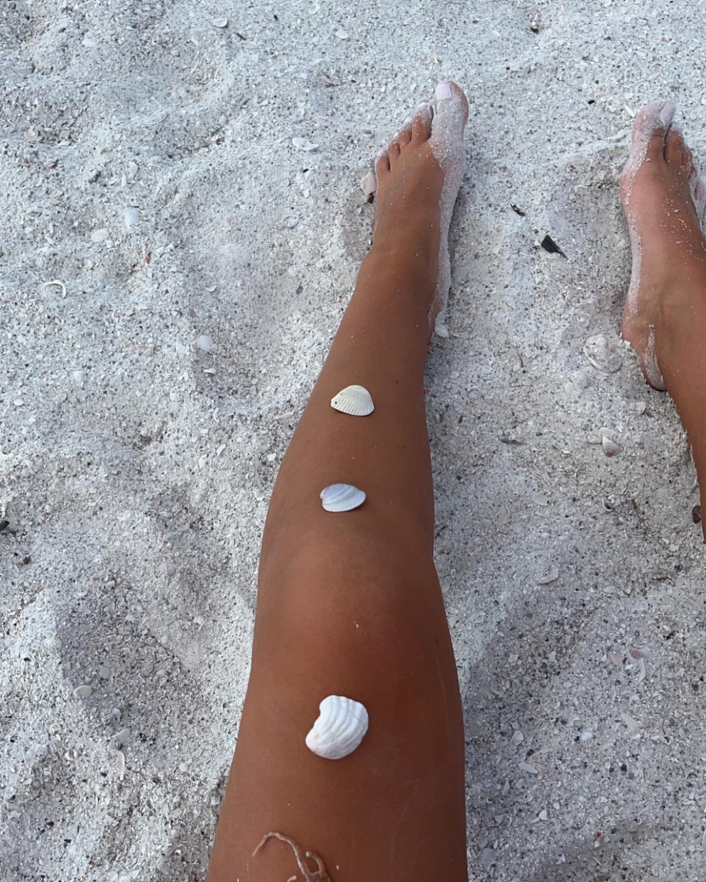 🐚🪸
#beach #mavi #fyp #surf #seashells