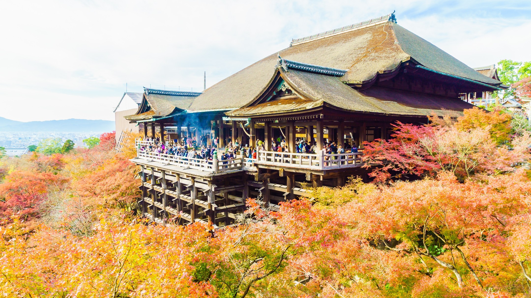 Kiyomizu-dera, one of Kyoto's most famous temples, which is well known in spring but actually it is wonderful in autumn also. Located on the slopes of the Higashiyama mountains, it offers stunning views of the city and nature. In fall, the surrounding trees turn vibrant shades of red, orange, and yellow, making it the perfect time to visit.
.
The temple’s iconic wooden stage, which extends over the hillside, provides an excellent spot to admire the colorful leaves. Walking through the temple grounds, visitors can enjoy the peaceful atmosphere created by the beautiful fall foliage.
.
Autumn is a great time to experience Kiyomizu-dera, as the crisp air and stunning views make the temple even more magical. Whether you’re here to enjoy the scenery or take photos, the fall season offers a unique and memorable experience.
.
.
清水寺是京都著名的寺廟, 春季的時候櫻花盛放, 而其實秋季的時候楓葉也是十分獨特美麗。寺廟位於京都的東山山坡上,擁有壯麗的城市和自然景觀。每年秋天,這裡的紅葉繽紛,枯黃、橙紅和深紅的葉子在清水寺周圍的山林中綻放,將整個寺廟裝點得如詩如畫。
.
清水寺的木造舞台延伸至山坡,提供了一個觀賞紅葉的好位置。漫遊寺廟,秋天的景色和寧靜的氛圍令人心曠神怡。
.
秋季是拜訪清水寺的好時機,涼爽的空氣和美麗的景色讓這個地方更顯迷人。無論是享受美景還是拍攝照片,秋天的清水寺絕對會為你帶來難忘的體驗。
.
.
.
.
.
#japanguide #triptojapan #travelinjapan #visitjapanjp #visjtmyjapan #jntosg #visitjapanphillipplines #jntoid #visitjapanAU #japanrevealed #travelgraphy #travelgram #traveling #trending #japanese #instagram #kiypmizudera #kiyomizuderainfall #kyotoinfall #japaninautumn #japaninfall #kyotoinautumn #redleavesinkyoto #redleavesinjapan #kyototemple #dera
