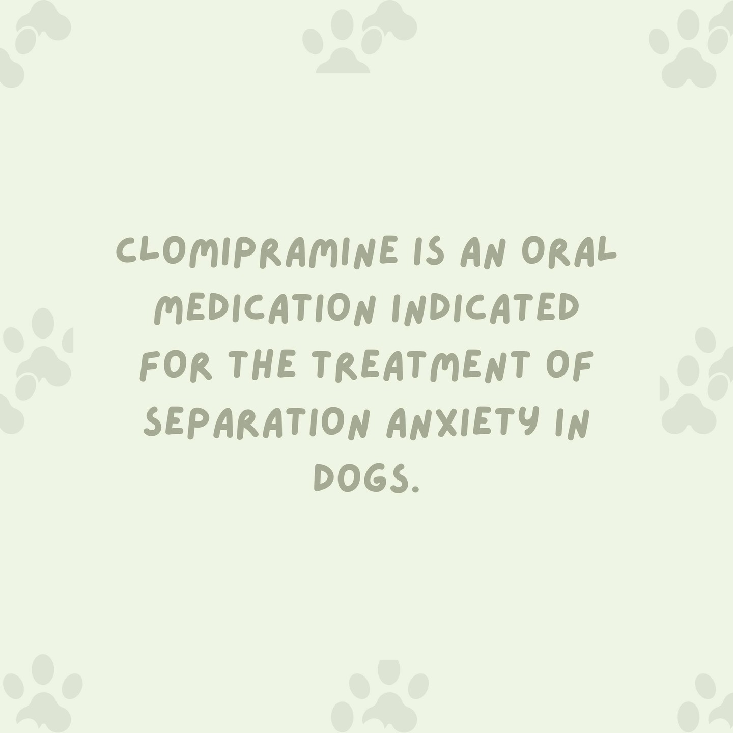 🩺 Ask your veterinarian about our Clomipramine Hydrochloride tablets. Available in 5 mg, 20 mg, 80 mg and an exclusive 40 mg. #CanineSeparationAnxiety
➡️ For more information, visit clomipramine.miznerbioscience.com #ThinkMiznerBioscience