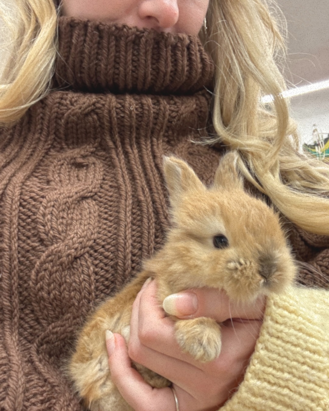 A mid-knit-season moodboard update ✨
The H+S capelette is cast off and very much loved already, the Harriet Sweater is almost there, and I’m ready to cast on my aran and morning frost sweaters. ❄️
Absolutely loving knitting by vibe lately, makes picking yarn and choosing patterns so fun! 🥰
#moodboard #knitlife #sweaterknitting #aranknitting