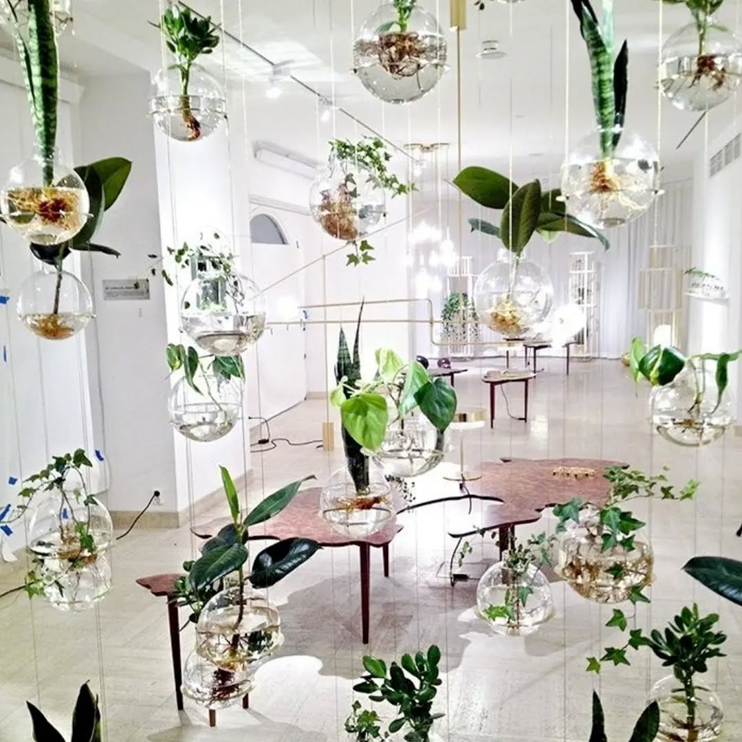 This suspended garden is a literal goal. 😍🙏 So beautiful 🌱🍃
.
.
.
.
.
#indoorplants #indoorgarden #plants #greenthumbsofinstagram #greenthumb #plantsofinstagram #suspendedgarden #uniquegarden #zengarden #plantlover #plantlife #gardenideas #gardendecor #gardendesign #flowerdesign #gardeninspiration #indoorplantsdecor #scandivanianhome #scandinaviandesign #scandinavianstyle #scandinavian.
