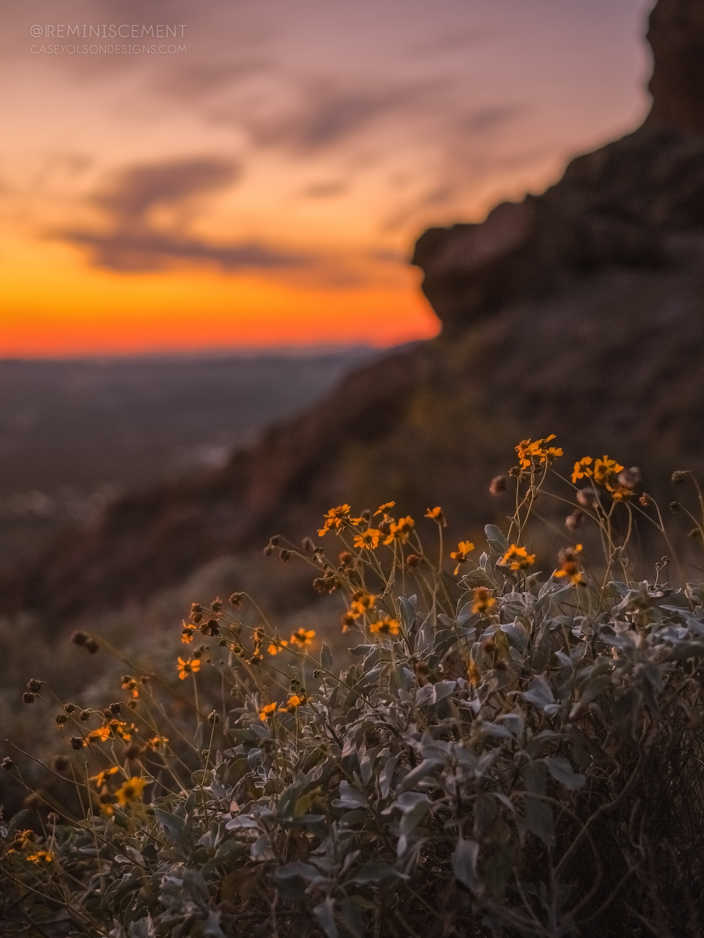 For Casey Olson Designs Day (Jan 25) each year I love to go out for the sunset and reflect on how grateful I am for the chance I get to do what Iโm passionate about for a living. I got the day named in my honor in 2020, but this is the first year Iโve had a special someone in my life to share it with. ๐ฅน๐
I am beyond grateful every day for this sky chasing & inspiring life I get to live. I wouldnโt be able to make a living doing what I love and am passionate about without each and every one of my supportersโฆ YOU GUYSSSS. ๐๐คญ
Here are some photos from my sunset hike with @caseyblock last night to celebrate my day. It hits different getting to celebrate your wins with someone who full supports you. ๐ญ
I canโt wait for more sky chasing, soul healing adventures with my person. ๐ธ๐๏ธ
I made a lil video about it Iโll share later today!
Ps: Can you believe all these winter wildflowers we are getting?! Who has seen them and been jolly pants, like me?