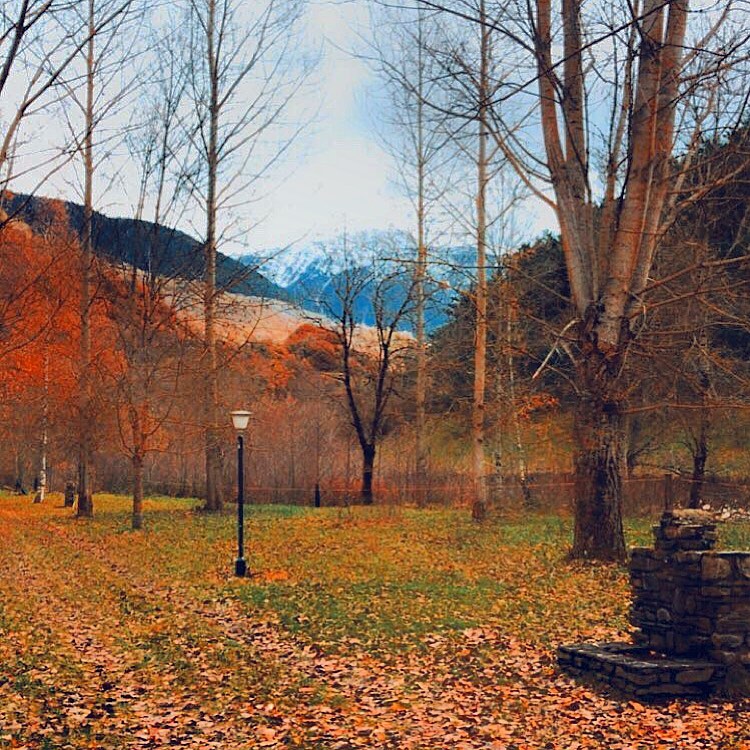 Camping Artigane December 🍂❄️.
.
#arros 💙🦋 #naturaleza #camping #mountain#valley #montaña #turismodemontaña #pirineos #pyrenees #poolparty #rural #rustic #campingsartigane #aqua #france #valdaran #ecosistema #ecofriendly #petfriendly #camping #oficinadeturismo #campingaran #campingartigane #baqueira #beret #spain #december #diciembre #vistas #nature #climatechange