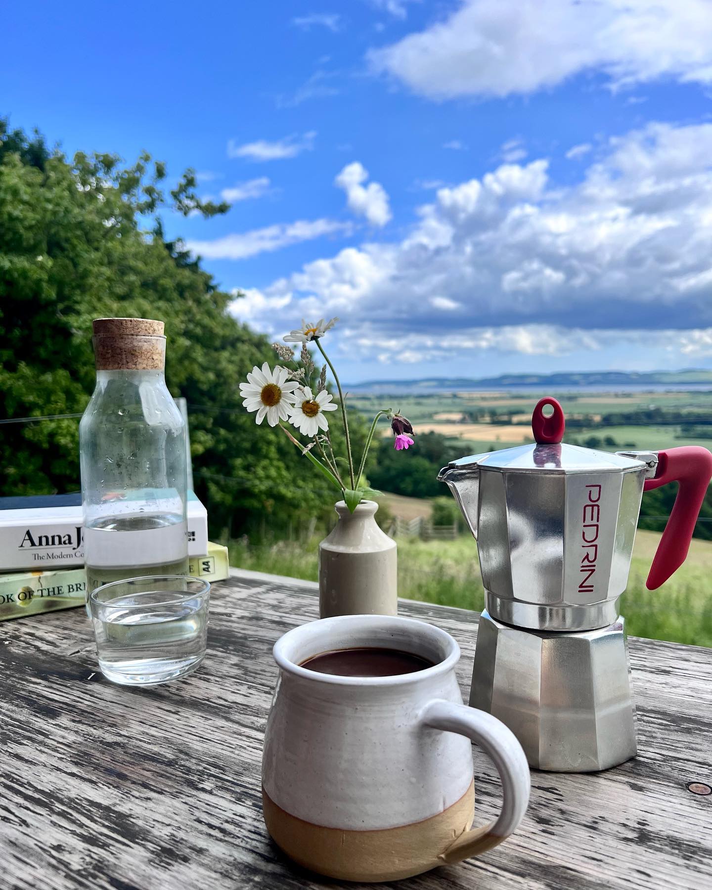 Our new limited release Los Palomos Del Sur with notes of açai, guava and rhubarb is the perfect summertime coffee. On the website now! ☀️