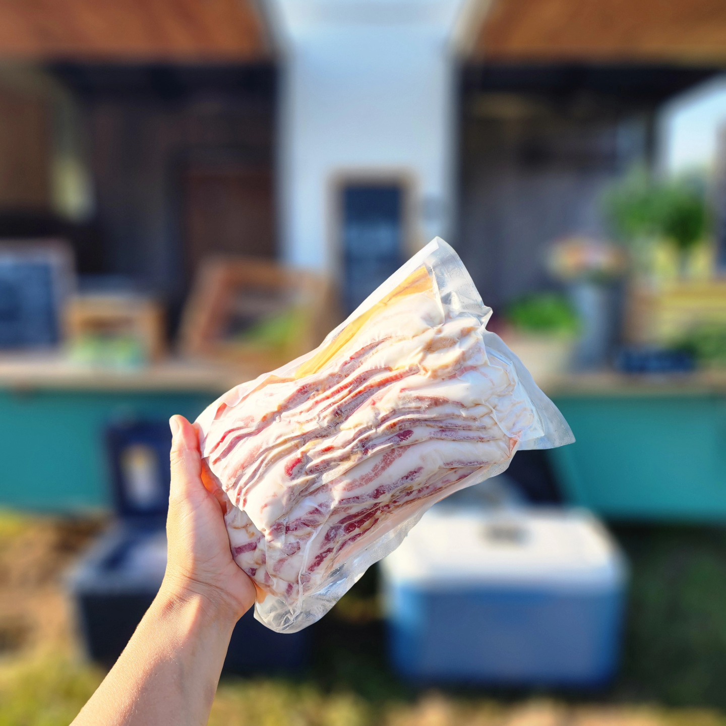 RISE & SHINE, BUTTERCUP!
š
The coolers are stocked with farm fresh eggs, bacon, and all of the delectable grillable cuts of pastured pork you can imagine. Self-serve, open until 1 at 6296 Meadows Rd. See you soon!