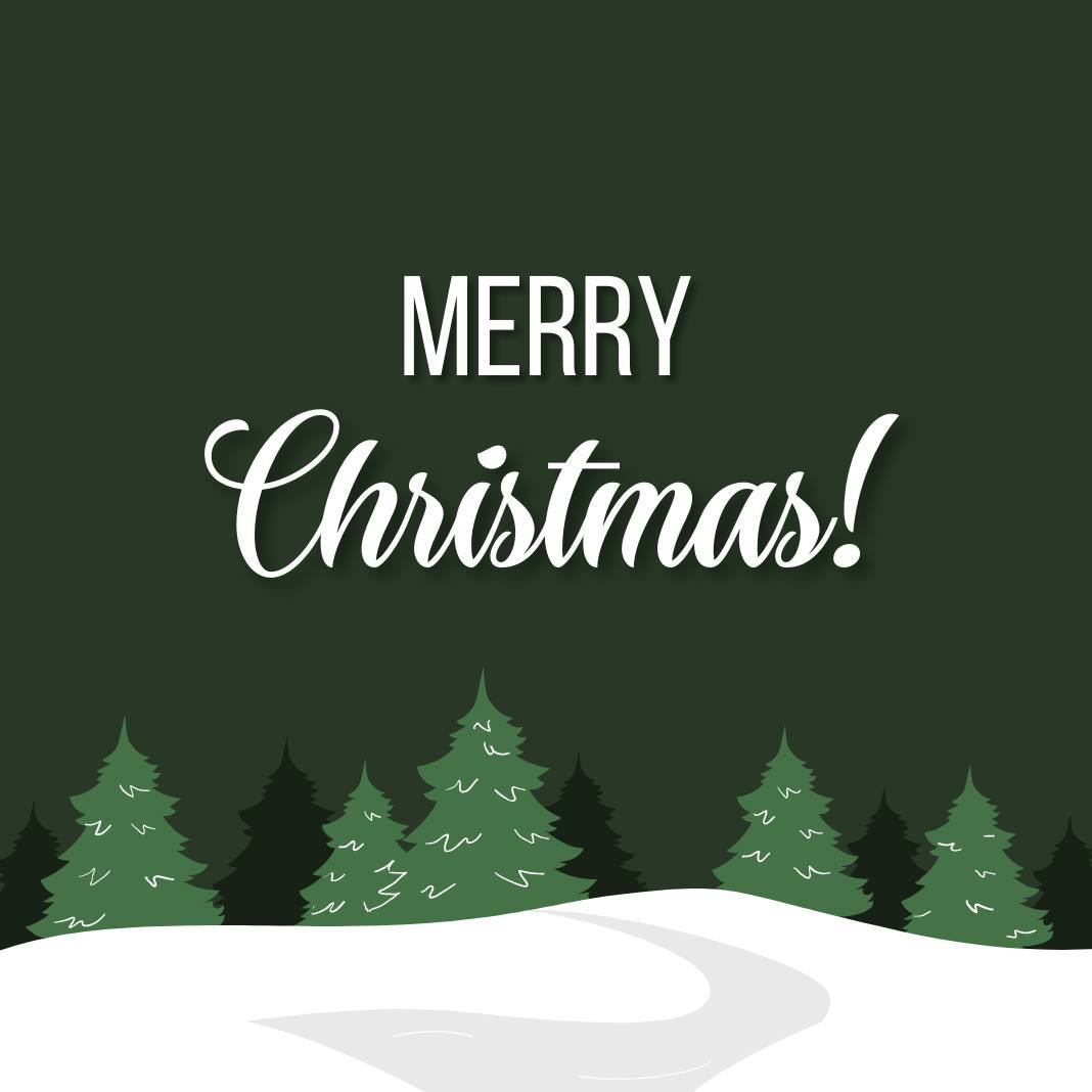 Wishing you all a very merry Christmas from the Grizzly Team 🎄🐾
#merrychristmas