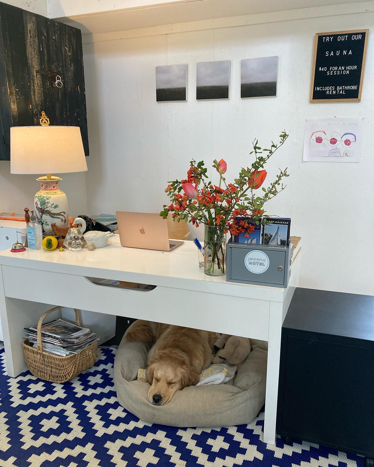Hi! It’s that time of year again and the motel is now open. Sally, the dog, is clearly excited to welcome you all. To a happy and healthy summer! #lincolnvillemotel #maine #summer #motel #travel #petswelcome