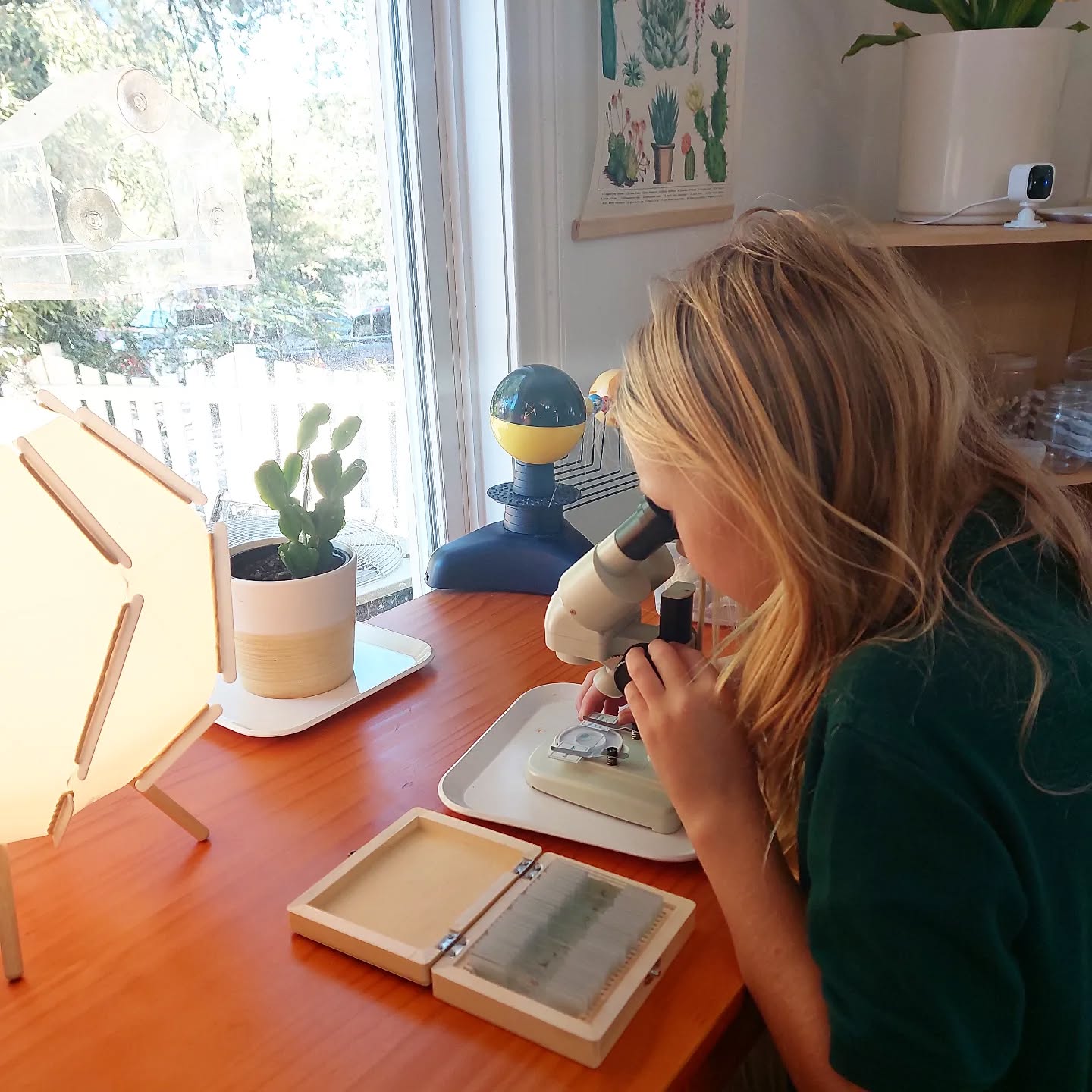 The independence to follow individual interests in the Montessori classroom is one of the greatest hallmarks of Montessori.
.
.
.
.
.
.
.
.
.
.
.
.
.
.
#montessorikids #montessorischool #montessorielementary #marietta #eastcobb #minimalism #children #childhood #christian #kids #kennesaw #montessoriclassroom #happykids #atlanta #earlychildhoodeducation #inspiration #montessoriathome #science #montessoridirumah #cute #acworth #montessoritoddler #montessorichild #woodstockga #classroom #montessori #childledlearning #momlife #parenting
