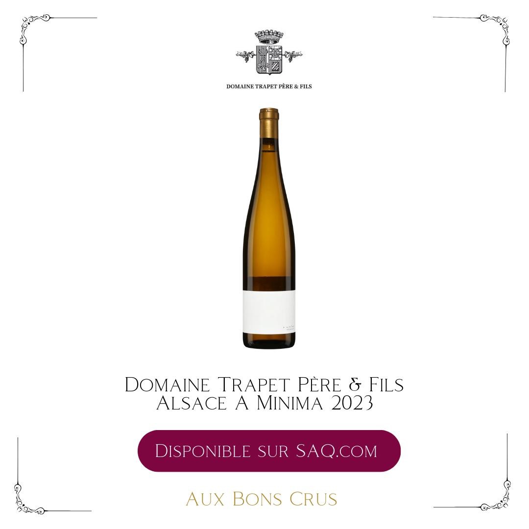 Alsace A minima 2023 du domaine Trapet Père et Fils disponible sur SAQ.com
🍇 Sylvaner, Gewurztraminer, Muscat, Pinot Gris, Riesling, Pinot Auxerrois
🍷 Le nez s’exprime avec franchise sur des notes florales, de fruits exotiques et d’herbes fraîches, portées par le muscat, le gewurztraminer et le pinot gris.
En bouche, le vin est droit, énergique et précis. Le riesling apporte tension et fraîcheur, avec un léger caractère fumé, tandis que le sylvaner et le pinot auxerrois structurent l’ensemble avec finesse.
⌛ À ouvrir idéalement une heure avant de servir et à déguster dès cet maintenant pour profiter de sa fraîcheur délicate
🍴 Parfait avec des fruits de mer grillés ou un carpaccio de légumes croquants pour renforcer sa vivacité et ses arômes floraux.
Wine Advocate, Stephan Reinhardt, (90) : The 2023 A Minima is an assemblage of many Alsatian grape varieties mostly from Rosenbourg, which is the highest part of Riquewihr. This is a clear, quite intense but fresh and sustainably structured, very stimulating white that was bottled in January with less than 30 milligrams per liter of total acidity and 12.5% alcohol. Granulate cork.