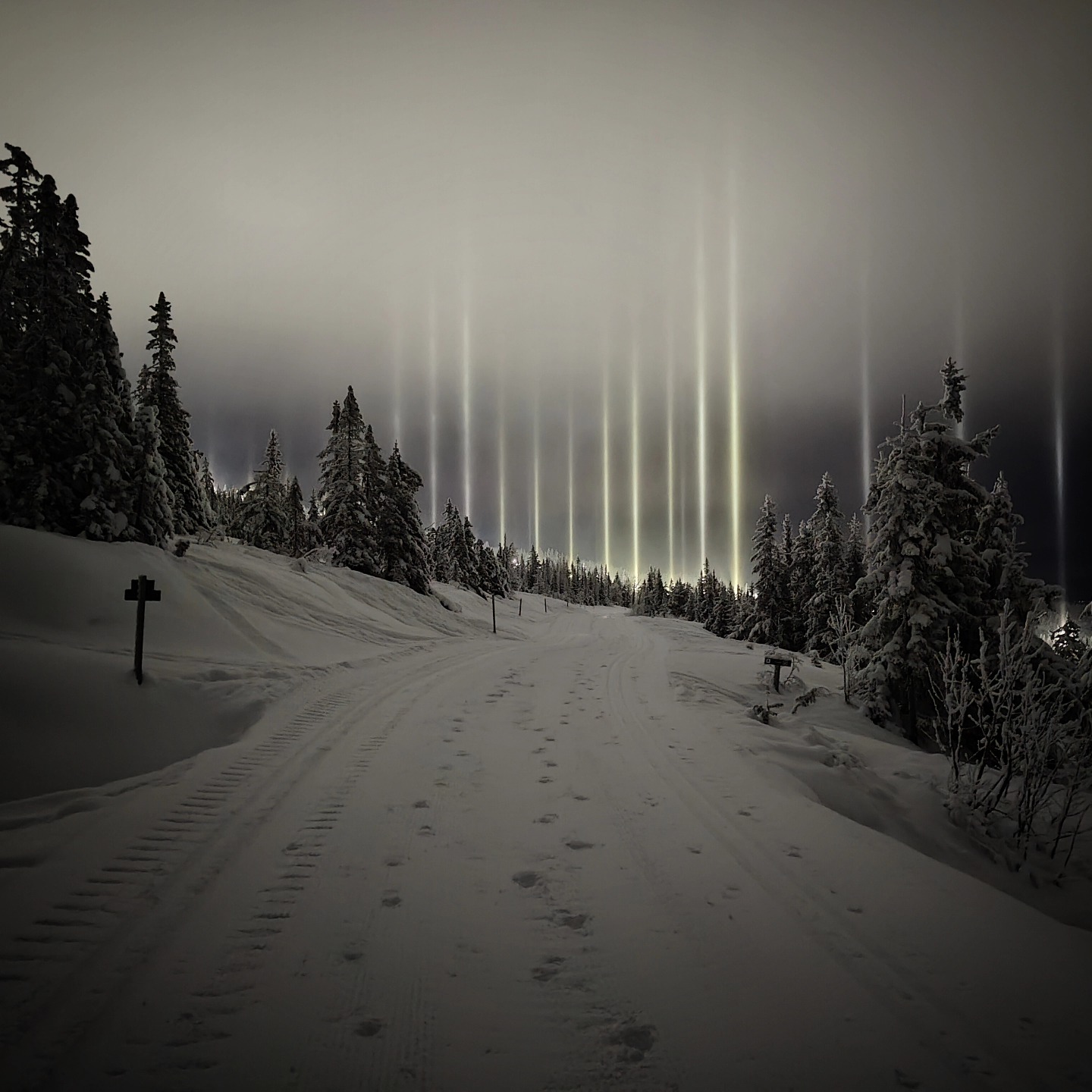 📷 Péter Mádai @madaipeter