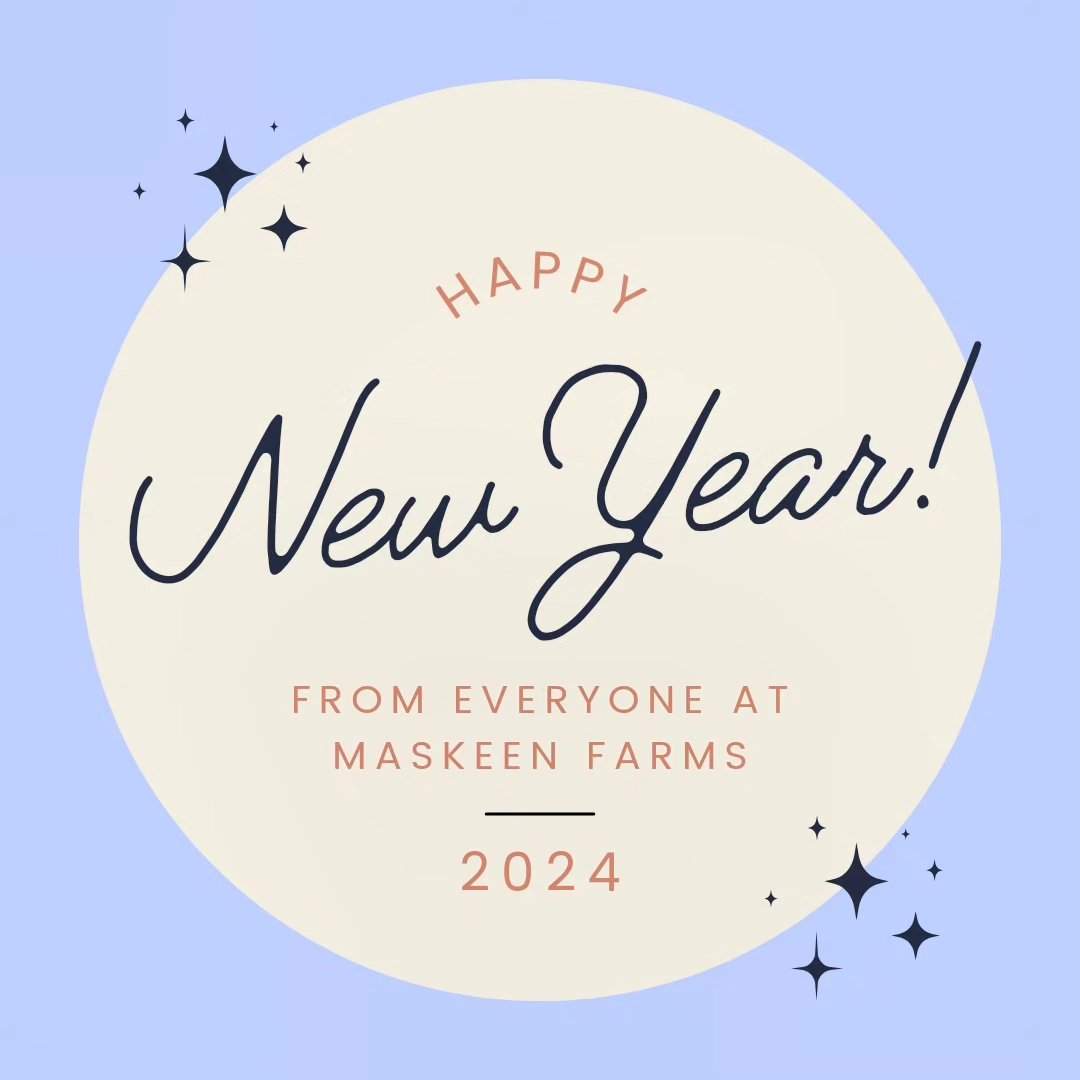 Happy New Year from everyone at @maskeenfarms
.
.
.
#Maskeenfarms #Farm #Blueberry #Blueberries #HappyNewYear #2024 #January #Wellness #Outdoors #Love #Nature #Instagram #Blueberries #Fitness