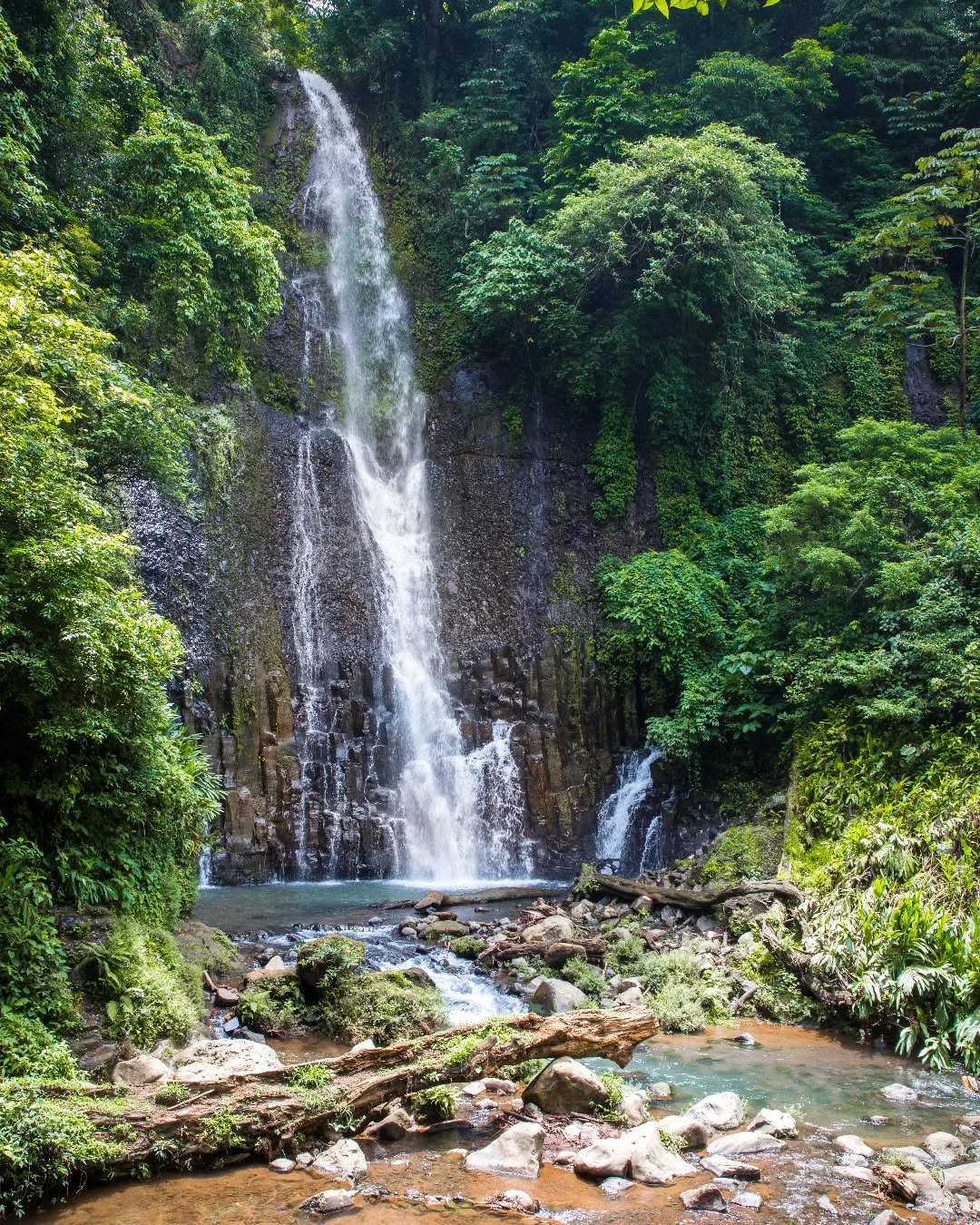 Cataratas Los Chorros, un lugar mágico a tan solo 20 minutos de @mangiferahostel 💚 Descubre una parte diferente en Costa Rica y conozca el ambiente relajado de esta zona.
#adondeircostarica #mangiferahostel #loschorros #greciacostarica #cataratasloschorros #costaricacool #quebuenlugar