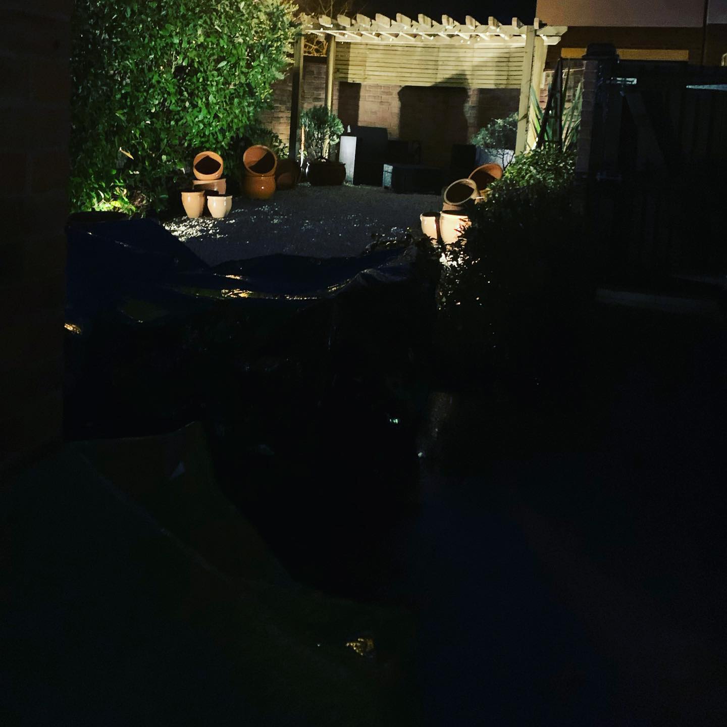 Amazing how a few lights can change a garden.
.
.
.
.
.
.
.
.
.
.
.
#tt #electrical #ttelectrical #electrician #london #local #friendly #design #lighting