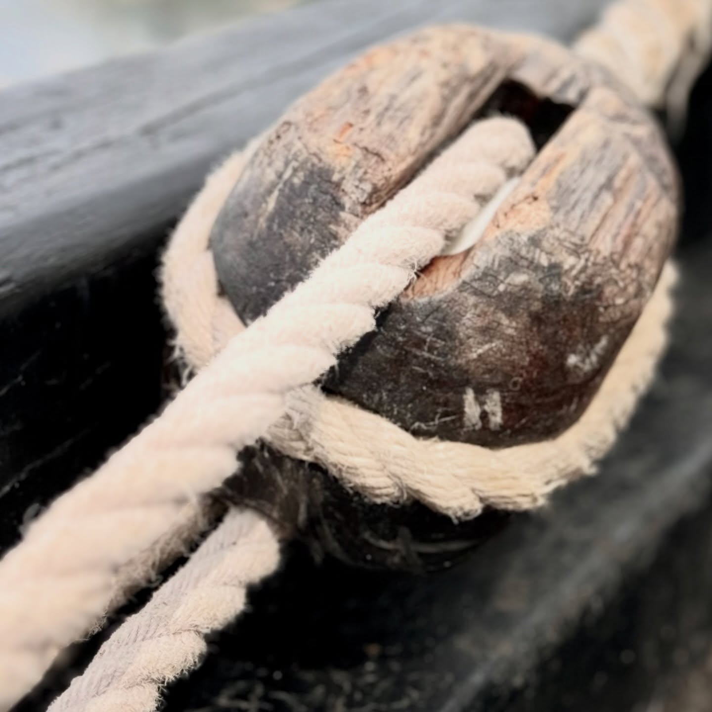 Meille SeaSportilla saaristo ei ole tuote – se on koti.
Siksi emme tarjoa valmiita paketteja liukuhihnalta. Jokainen retki syntyy tilanteesta, säästä ja ihmisistä, jotka ovat veneessä mukana. Välillä se tarkoittaa hiljaista ajelua saarien välissä, välillä seikkailua, kätköjä ja nuotion äärellä jaettuja hetkiä.
Me viemme sinut paikkoihin, joihin et omin päin löytäisi – ja kerromme tarinoita, joita et löydä esitteistä. Turvallisesti, rennosti ja saaristoa kunnioittaen.
Jos haluat kokea Pellingin saariston aidosti, omalla tavallasi, käy kurkkaamassa mitä kaikkea me SeaSportilla tarjoamme.
www.seasport.fi
#seasport #porvoo #borgå
#porvoonsaaristo #borgåskärgård
#visitporvoo #visitpellinge