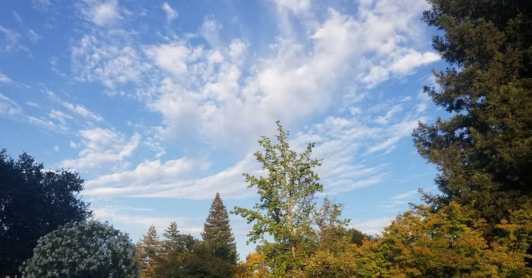 So appreciative for this beautiful day. Happy 4th of July, Our Independence Day! 🎉🇺🇸🎆🥂