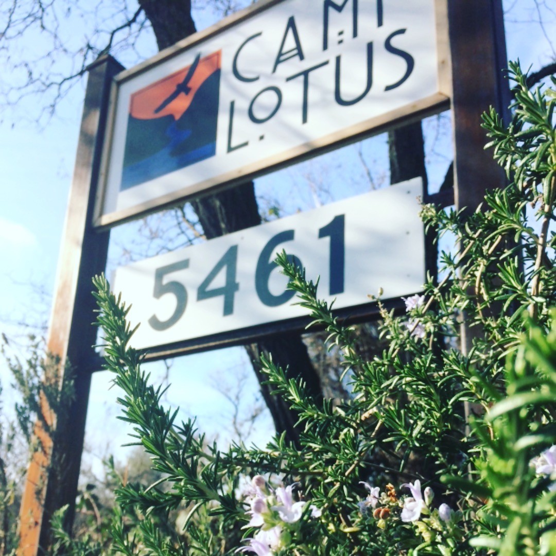 It’s another beautiful weekend in the valley! We already have rosemary, daffodils, manzanita and more starting to bloom!
#camplotus #southforkamericanriver #colomalotus #california #springblooms #rainplease #exploreeldorado #campground #camplife #riverlove