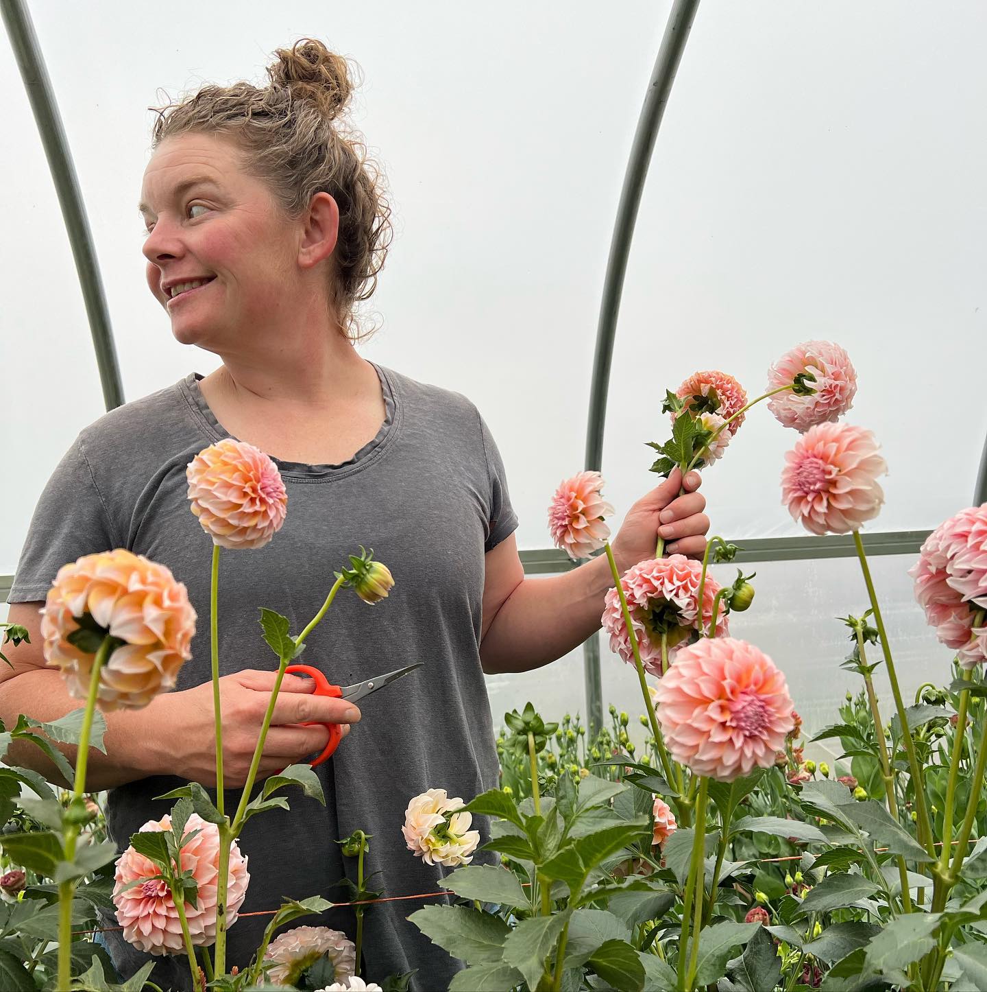 An immense heap of gratitude to all of our supporters for an amazing year. Looking forward to more growth and offerings in 2024 largely due to an amazing grant from @americanfarmlandtrust that will allow us more storage space for the upcoming season. We can’t do what we do without amazing support from you all, fellow farmers, grants, suppliers, florists, grocery, a whole lotta sweat and a sprinkle of cursing. Thank you, thank you, thank you!
#happynewyear #thankyou #flowerfarmer #cutflowerfarm #cutflowers #laurelmontana #yellowstonecounty #billingsmontana #bozemanmontana #livingstonmontana #supportlocal #grownnotflown #gratitude #growninmontana #406