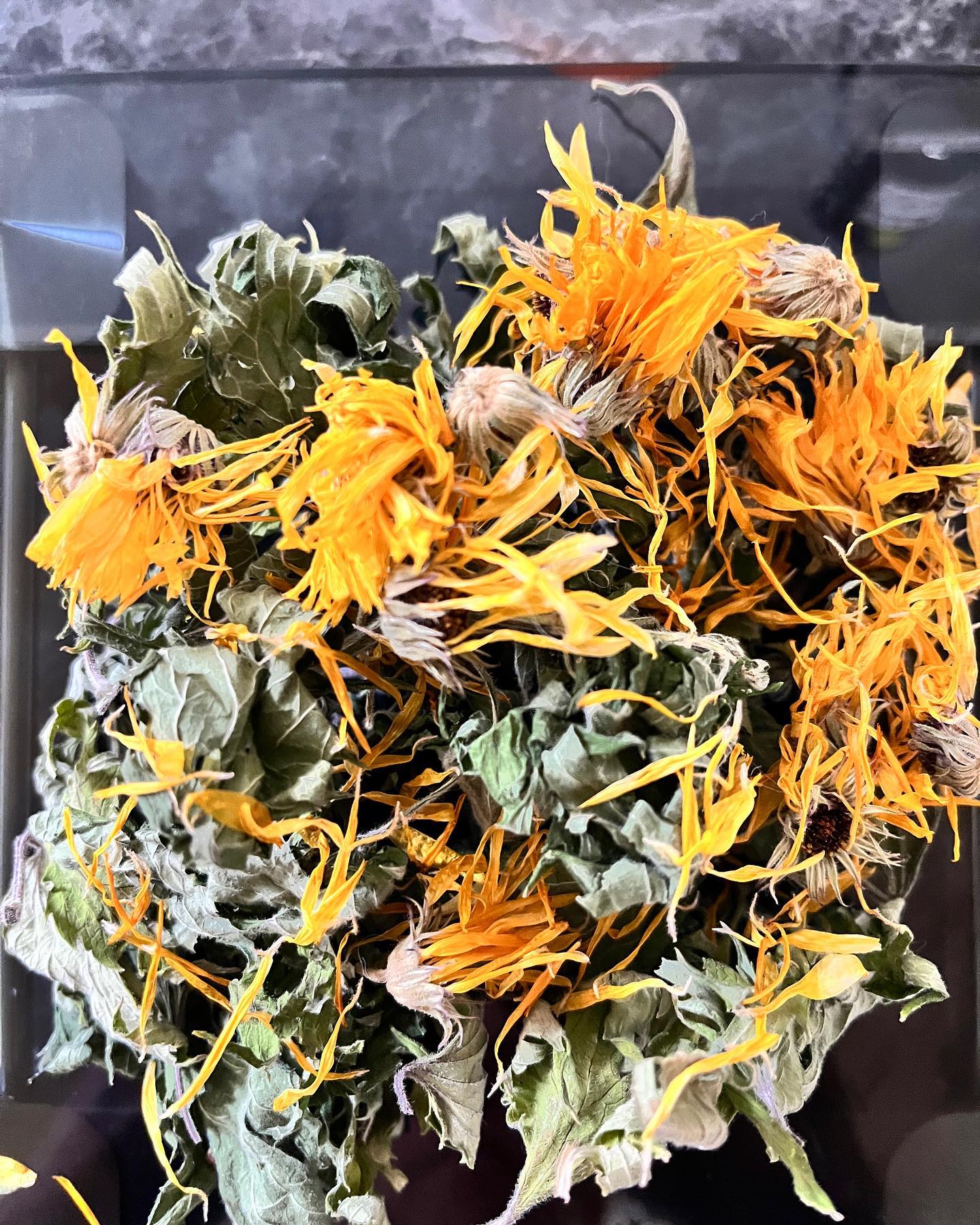 Preparing for a workshop I’ll be leading August 28th for @vantcmherbgarden - follow to get all the details in the next couple weeks. #tcmherblearninggarden #chinesemedicine #salvemaking