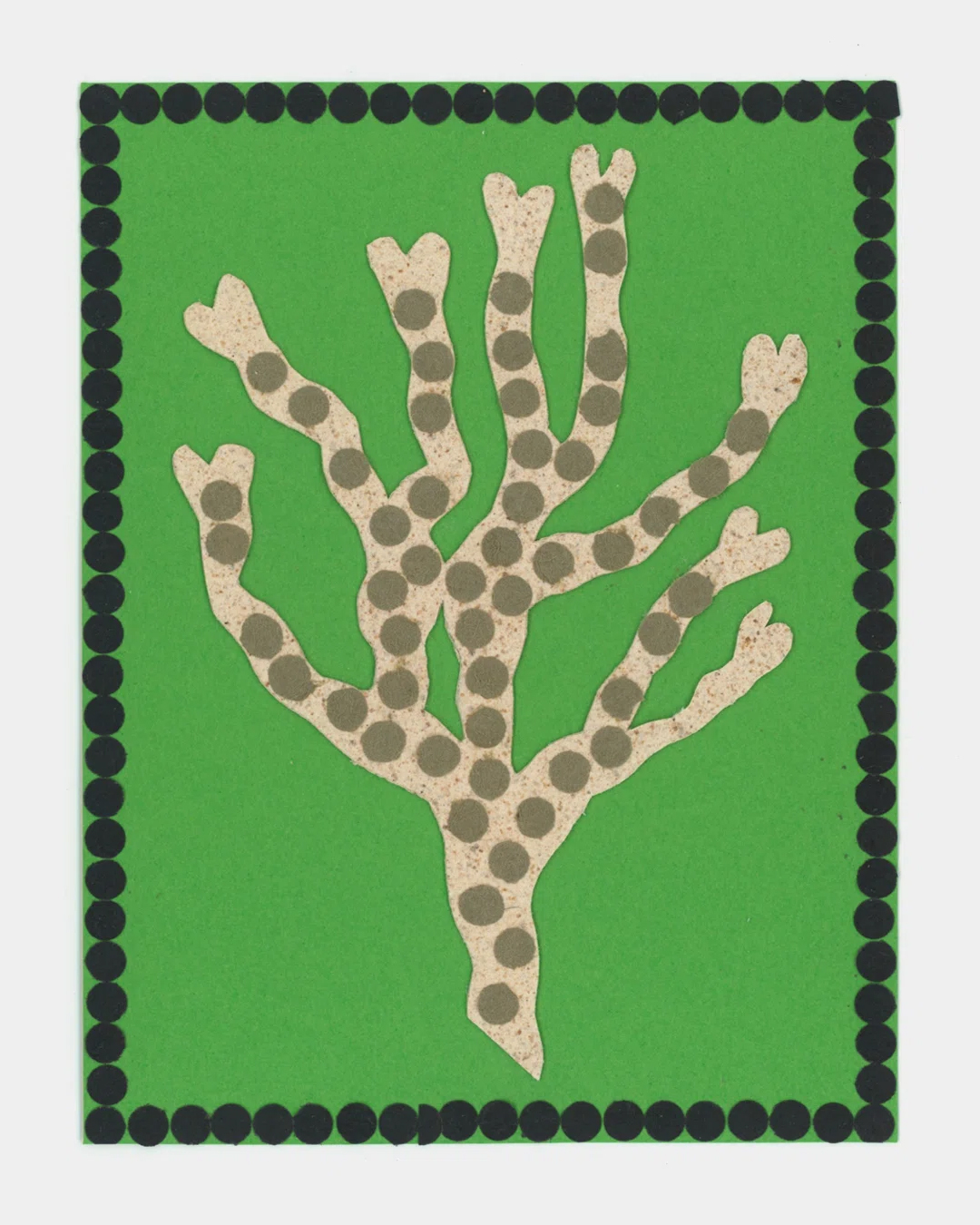 Seaweed inspired 💡
Illustrators @julie_legrand and @ninaizycka have released Alga, a small printed publication exploring the forms and textures of seaweed through their distinct visual styles. Produced using screen printing and Risograph on soft coloured paper, the zine emphasises tactile, handcrafted qualities.
Part of an annual collaborative project, Alga reflects their interest in natural forms, experimental colour and collage. A limited edition, the project was accompanied by an exhibition and live printing workshop, highlighting craft, material exploration and community engagement.
#illustration #selfpublishing #printmaking #creativepractice