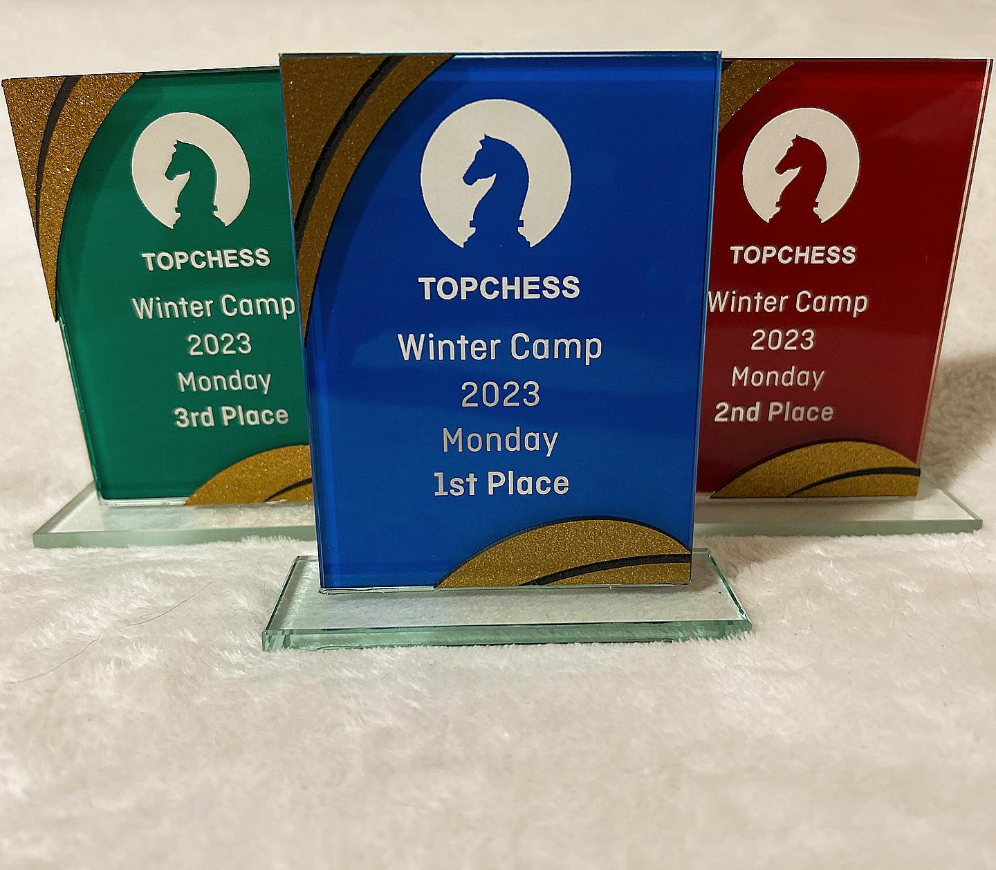 Winter Chess Camp starts next week June 26 – 9am-3pm! Register now: www.topchess.com.au/events ❄️🔝♟️🧠🏆🥇