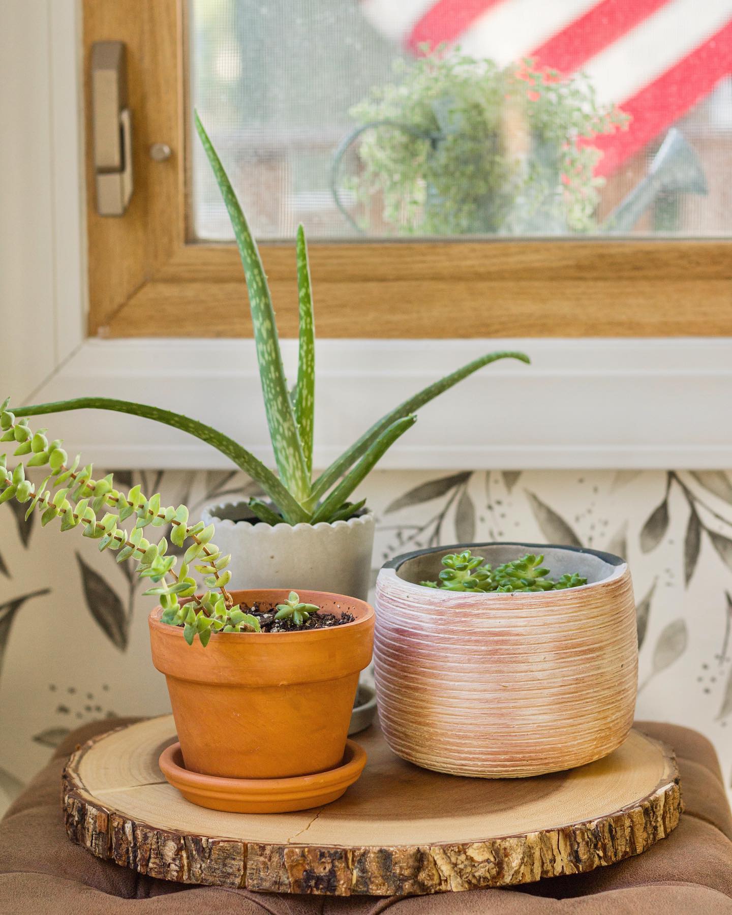 I hope everyone had a Happy Fourth!☺️🤘🏼🇺