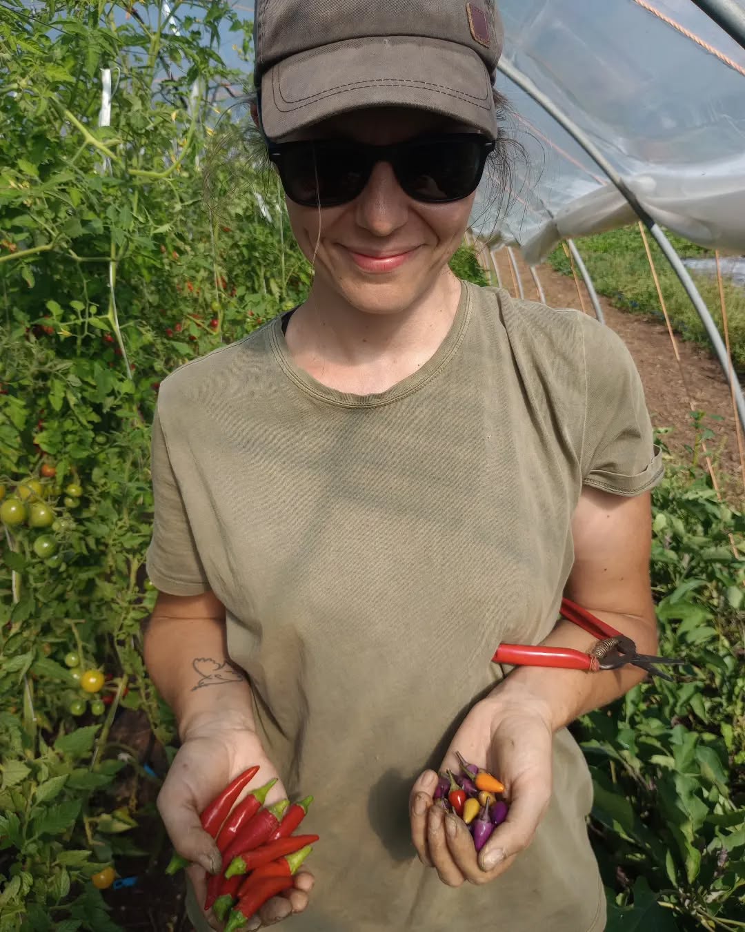 Lila Luzi und Cayenne 😁🌶️