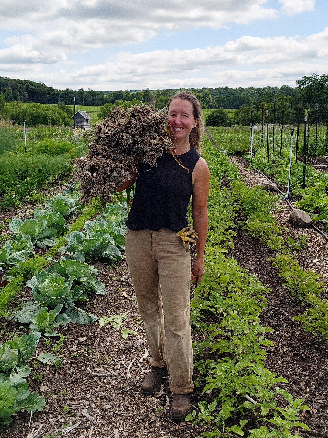 Garlic's up! š§
Seed cloves go in the ground in November, start growing in earnest around April, and, at LONG last, those beautiful bulbs are pulled (much to the satisfaction of this particular farmer).
Once harvested, the lot is shuffled to a curing rack in our barn where it will stay for 3 or 4 weeks, ensuring that it'll keep in storage for months and months.
You've missed the garlic boat completely if you've not cooked with locally-grown garlic. I'm tellin' ya.