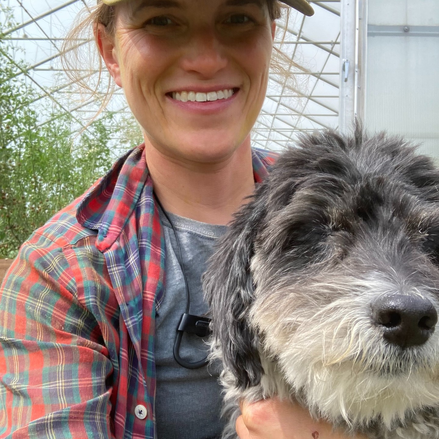 Happy National CSA week!
Community Supported Agriculture (CSA) programs are a great way for farms to be directly connected to their local community and a great way for eaters to be connected to a local farm!
Wild Fern Farm is offering a Veggie Box CSA program this year; 18 weeks of prepacked certified organic vegetables.
Subscription runs June through September.
Box pickup locations at Bakie Farm in Kingston and at the East Kingston Library.
Pickup day Thursdays 2pm-6pm
Check out the Link in Bio for more information!
#nhcsa #nhagriculture #nhorganic