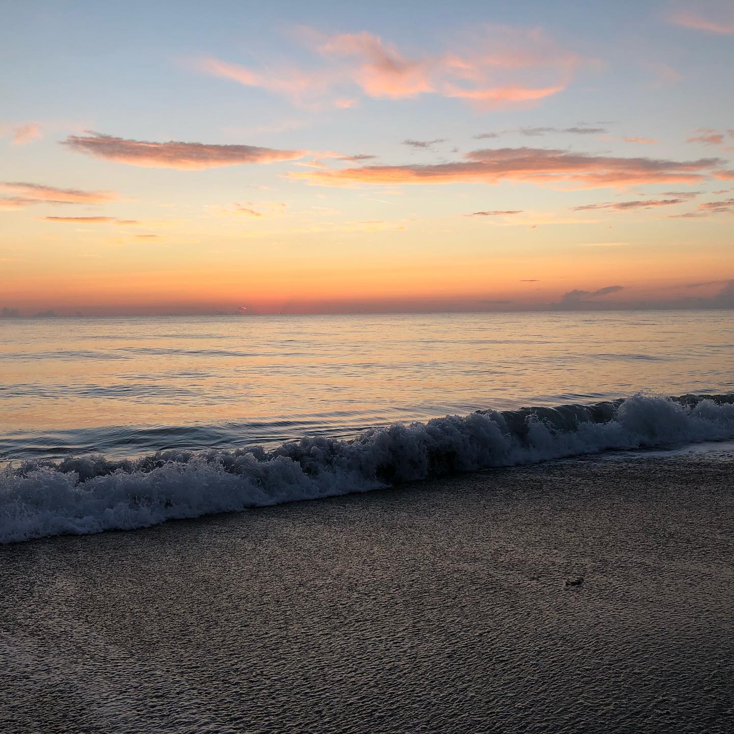 The hardest part of saying goodbyeโฆis saying goodbye ๐๐๐ Finally reflecting on the last few weeks and what a blur it was to move from Charleston to FL! I was so overwhelmed and didnโt get to see so many of you or properly say goodbye before I left, but just want to say THANK YOU to each of you for being a part of my journey in Charleston ๐ I grew and learned so much from the people and experiences at @saltspaandyoga and will be forever grateful I was able to practice and teach Reiki, massage and yoga at such an amazing and beautiful space (thank you Ashley!) ๐๐ Excited for whatโs to come but will miss all of my Charleston friends and clients dearly. Sending love and light to each of you and continued peace and blessings on your journey ๐๐๐ I hope our paths will cross again one day ๐ And Iโm always available for distance Reiki healing or questions ๐
๐ XO, Lauren