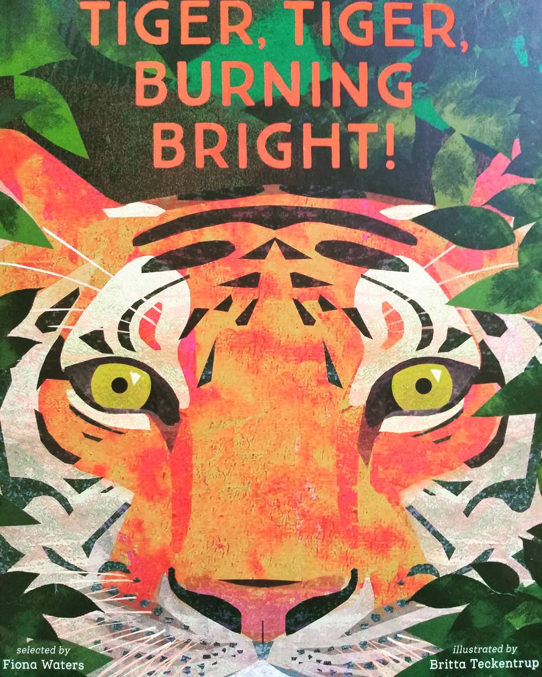 If you're looking for a treasure of a book to give this Christmas, this could be it! Stunning cover and gorgeous double page illustrations for every poem - it's a beauty! Published in association with The National Trust, it's a compilation of huge range, comprising everything from Emily Dickinson and Lewis Carroll, through Ted Hughes and Philip Larkin, to translations of Gaelic, Arapaho and Inuit songs. A poetry feast!
