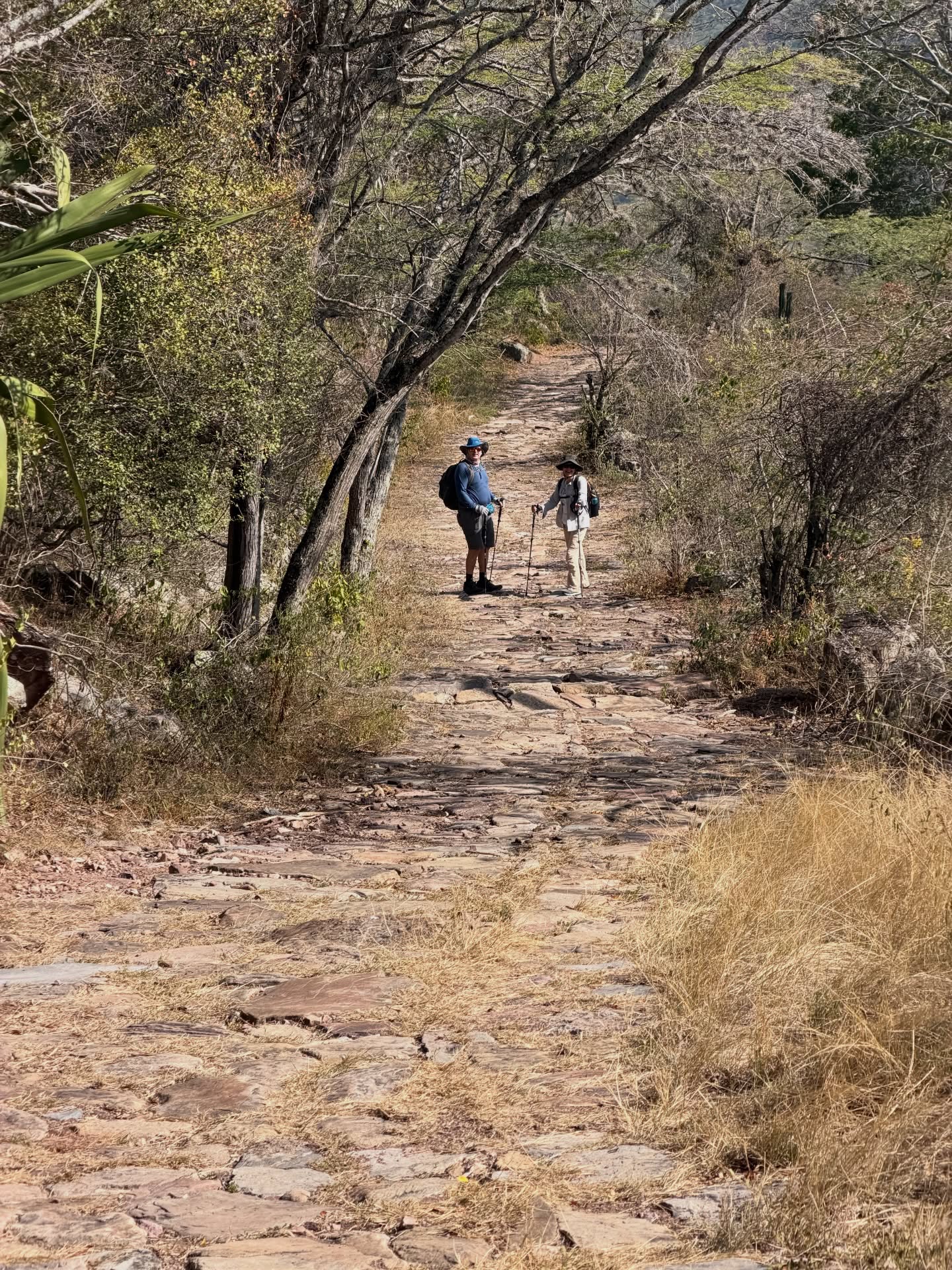 Ha sido una buena temporada 🌞. Seguimos con muchas ganas para que todos tengan una buena experiencia conociendo el Cañón del Chicamocha ⛰️. Caminar por estas tierras pa’ que pero es bien bonito🤩. Se suda hasta lo que no🥵. Su gente, su historia, las memorias que guardan los senderos💛