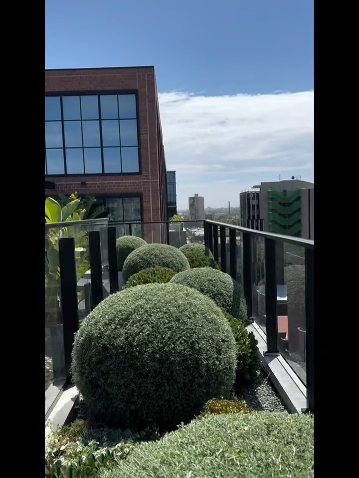 POV - Youāre a Landscape Gardener in Melbourne.
#gardenmaintenance #rooftopgarden #melbourne #collingwood #summer