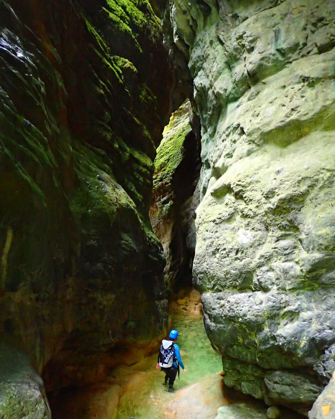 ¡Últimas semanas de barranquismo en Ainsa! Disfruta de la tranquilidad de Septiembre con una actividad en la naturaleza. 💚
.
.
.
.
.
.
.
#ainsa #ordesa #barranquismo #pirineos #pyreneeën #pyrenees #canyoning #boltaña