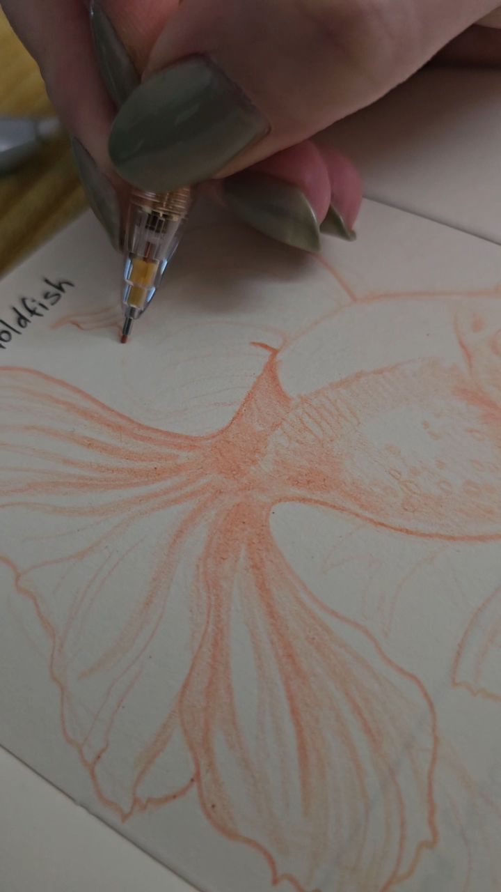 6% done the 500 Drawing Prompts book! 😄😅 I think I am at a good pace!
#canadianartist #femaleartist #artistsoninstagram #sketch #goldfish