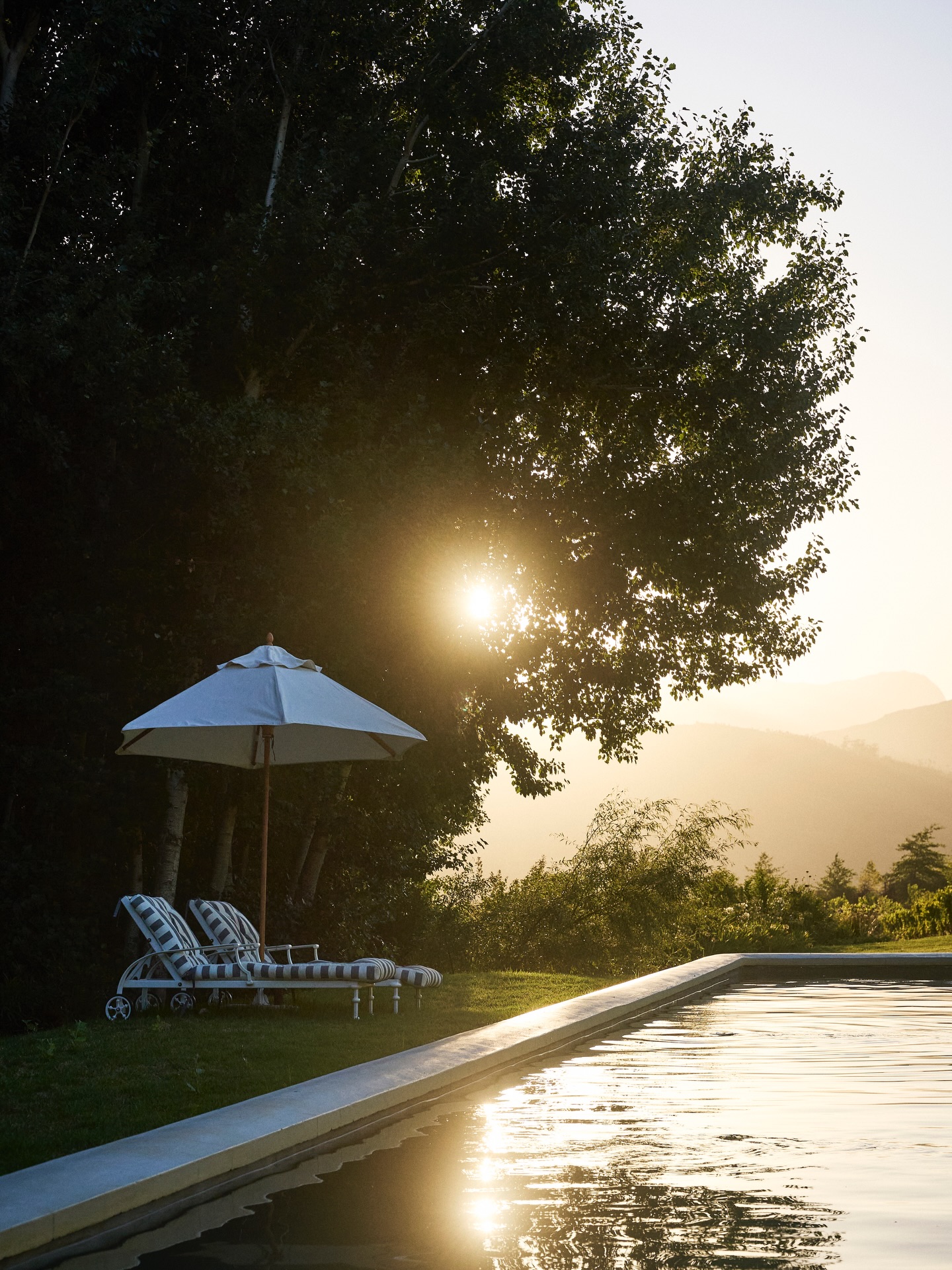 At Forest Cottages, sunset feels a little unreal – golden light drifting through the trees, the valley glowing below, and the mountains turning soft shades.
.
.
.
#lacotte #lacottefarm
#franschhoek #franschhoeklife #sunset