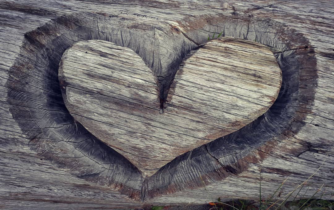 We are John who comes through Randall. It's about time he set this up for us. We have not been waiting, per se, but are glad to be in contact.
R: it looks like we're off and running! I'll provide more background in future posts. #channeling #spirituality #intuitivereadings #mediumship