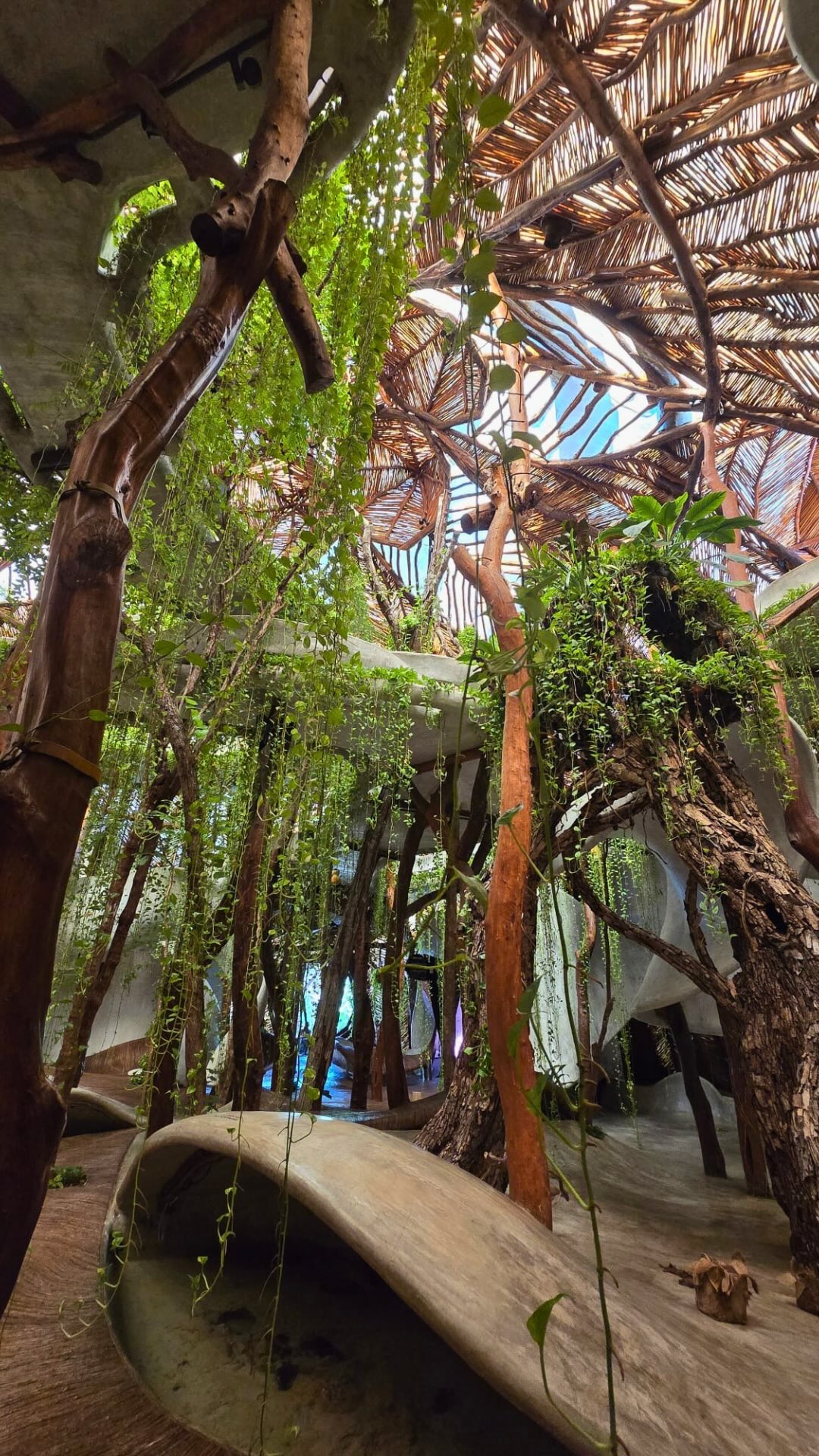 Most trips don’t fall apart on the plane. They fall apart during planning — or lack of it.
I talk to people every week who say,
“We picked the resort because we saw it on TikTok,”
or
“The reviews were good, so we assumed it would work.”
And then the trip starts…
And suddenly:
👉The resort is nothing like they imagined
👉The location feels wrong
👉The pace doesn’t match their energy
👉And now they’re frustrated on a trip they saved months for
That’s not bad luck.
That’s unclear expectations.
❌Planning isn’t about finding the best option.
✅It’s about finding the right option for how you actually travel.
That’s why I don’t rush this part.
That’s why I ask a lot of questions.
And that’s why my travel friends don’t feel surprised when they arrive.
If you’ve ever come home from a trip thinking,
“That wasn’t bad… but it wasn’t what I hoped,”
you’ll understand exactly why I help my travel friends plan the way I do.
.
.
#vacation #vacationplanning #vacationplanner #vacationplans #travelsbyniki