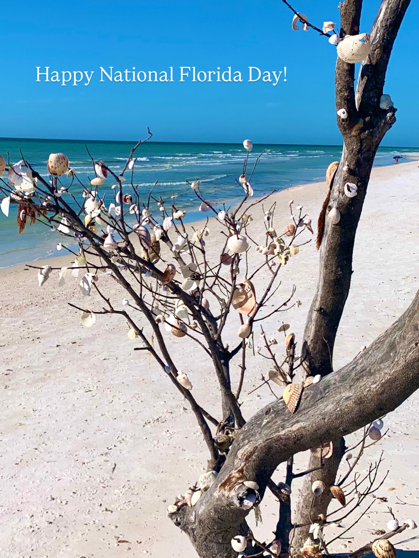 We live where you vacation 😉🌴
Happy National Florida Day!
•
•
•
•
#floridalife #visitflorida #florida #floridaliving #sunshinestate