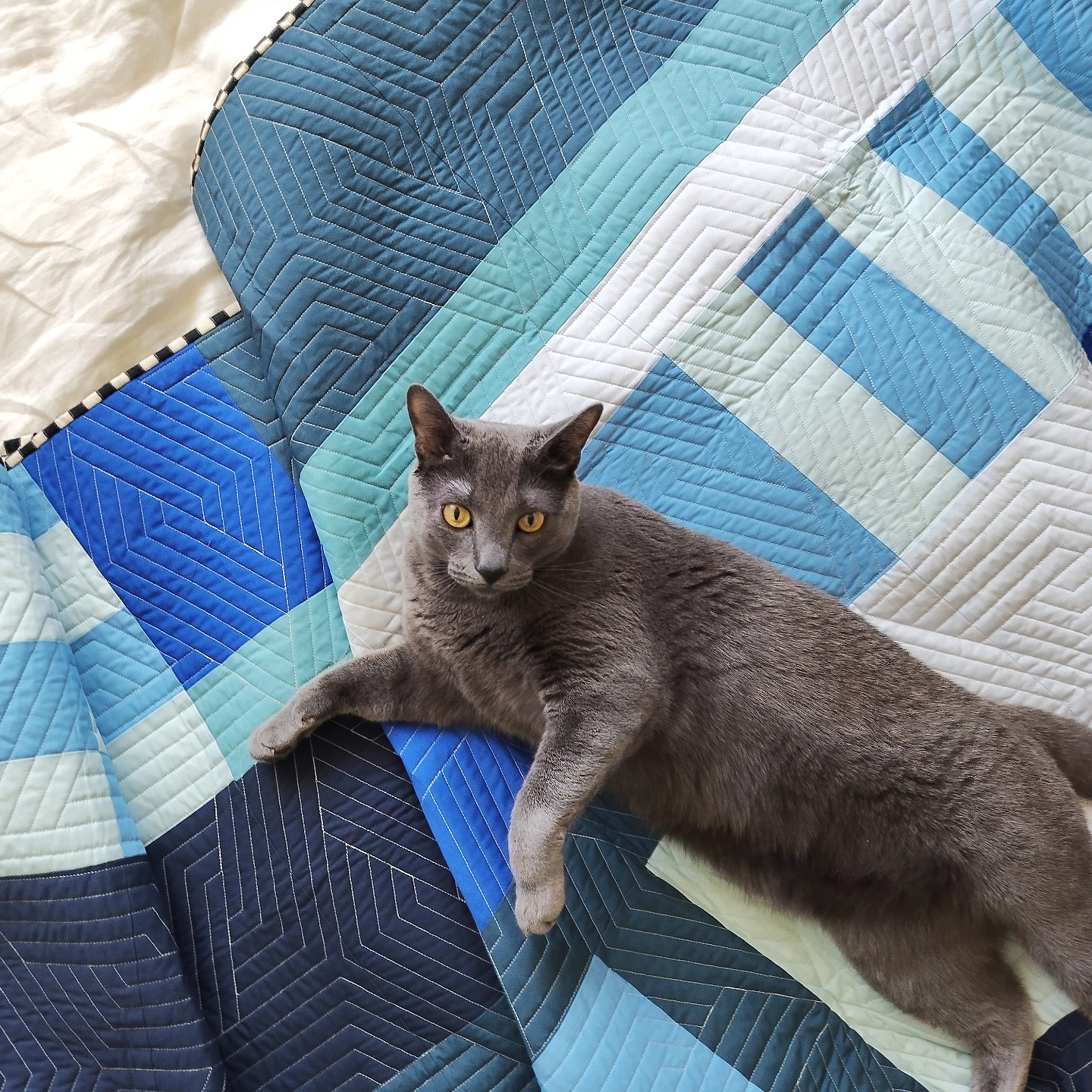 "Did you ever think that maybe there's more to life than being really really really ridiculously good looking?"
😗