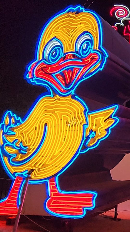 #neonmuseum #lasvegasblvd
Neon is a mood ~ allstreetsgourmand.com
https://youtube.com/@allstreetsgourmand4742