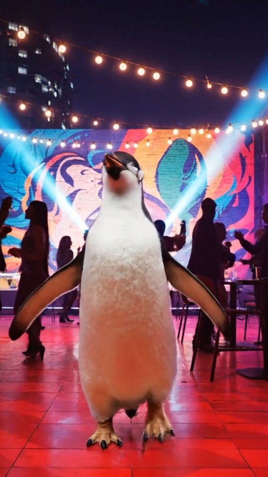 🐧❄️ From the snow to the skyline… the penguin found its vibe.
Lost in the cold, wandering for warmth — until it discovered WTF, the biggest rooftop in Pondicherry. 🌃🔥
Good music, crazy views, and energy that even a penguin couldn’t resist. 🥂🎧
If a penguin can find us, you definitely can.
See you at the top. 😌
#WTFRestoPub #BiggestRooftopInPondy #PondicherryNightlife #WayToFly #RooftopVibes PenguinFoundWTF StillLegendary 🐧🔥